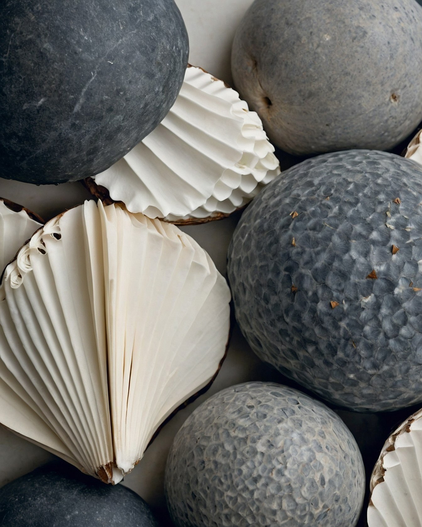 Textural Contrast: Smooth Spheres and Pleated Forms