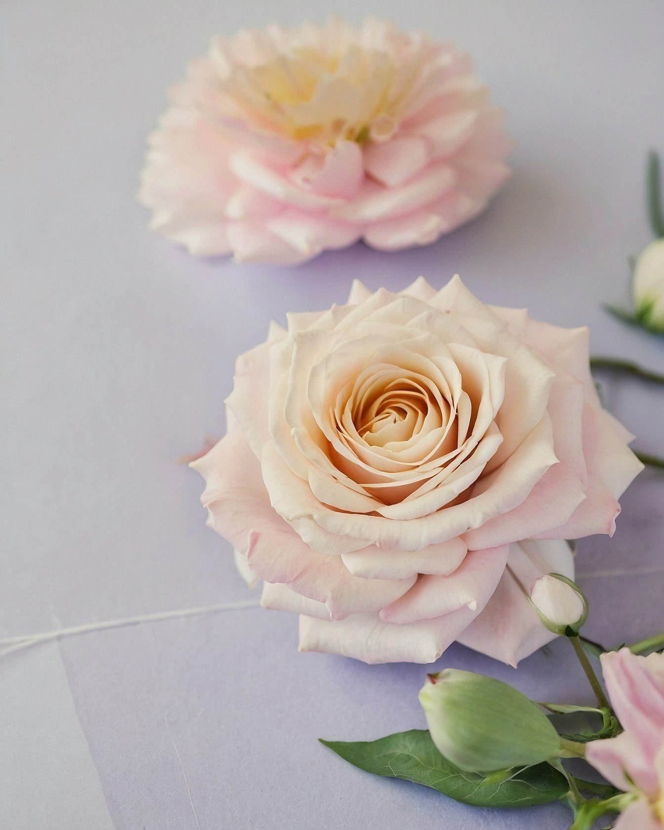 Soft Peach Rose and Blushing Peony Arrangement