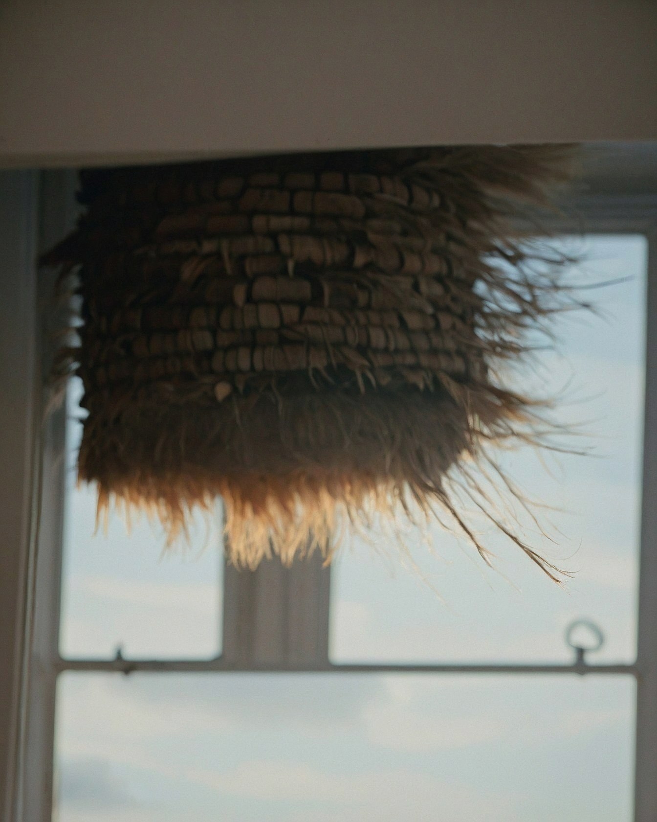 Natural textures framing the light