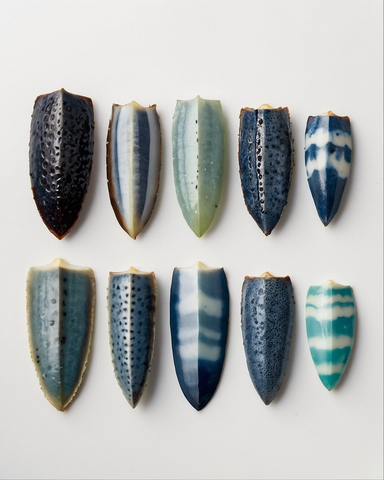 A Spectrum of Blue and White Textures