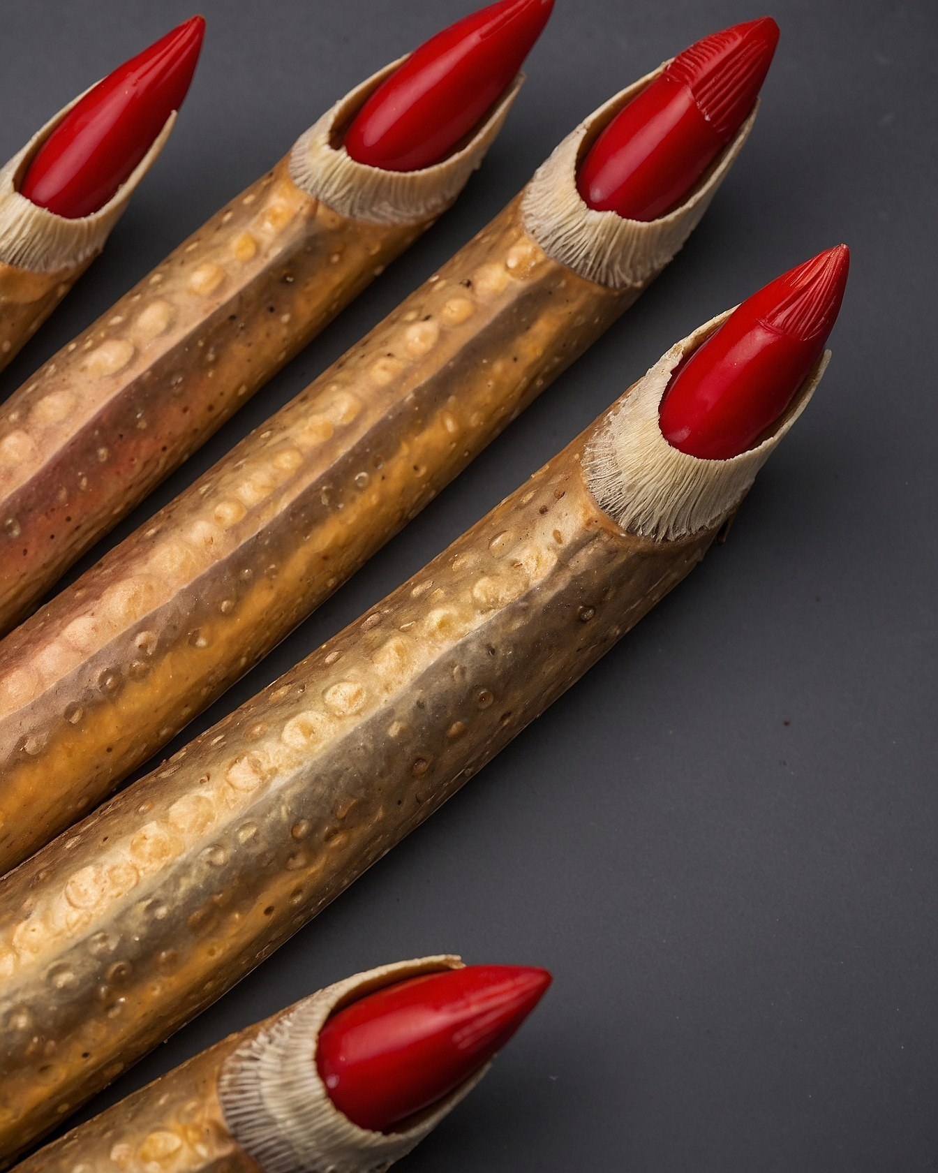 Close-up of Crimson-Tipped Natural Wood Fingernails
