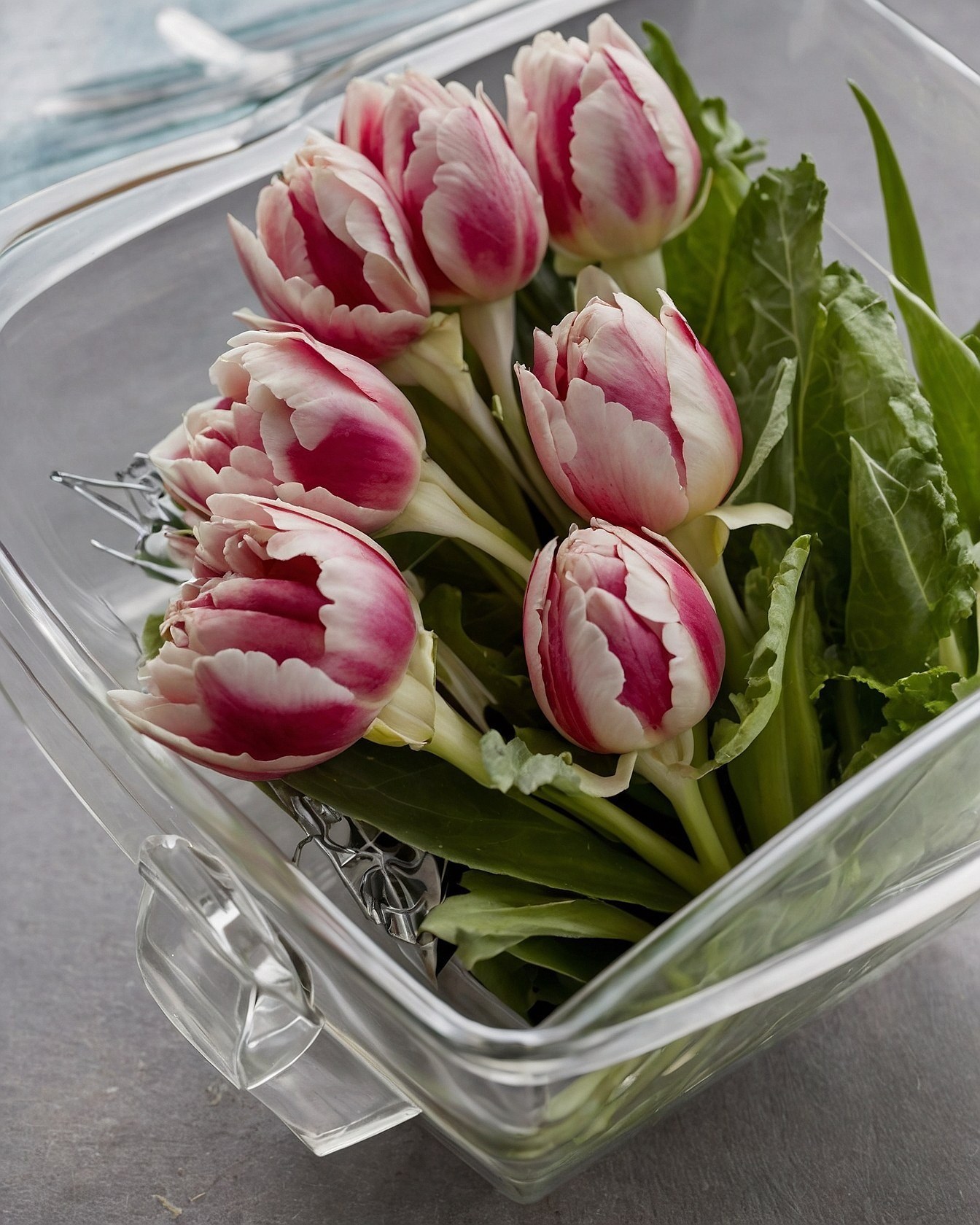 A Glass Vessel Holding Bold Pink and White Tulips