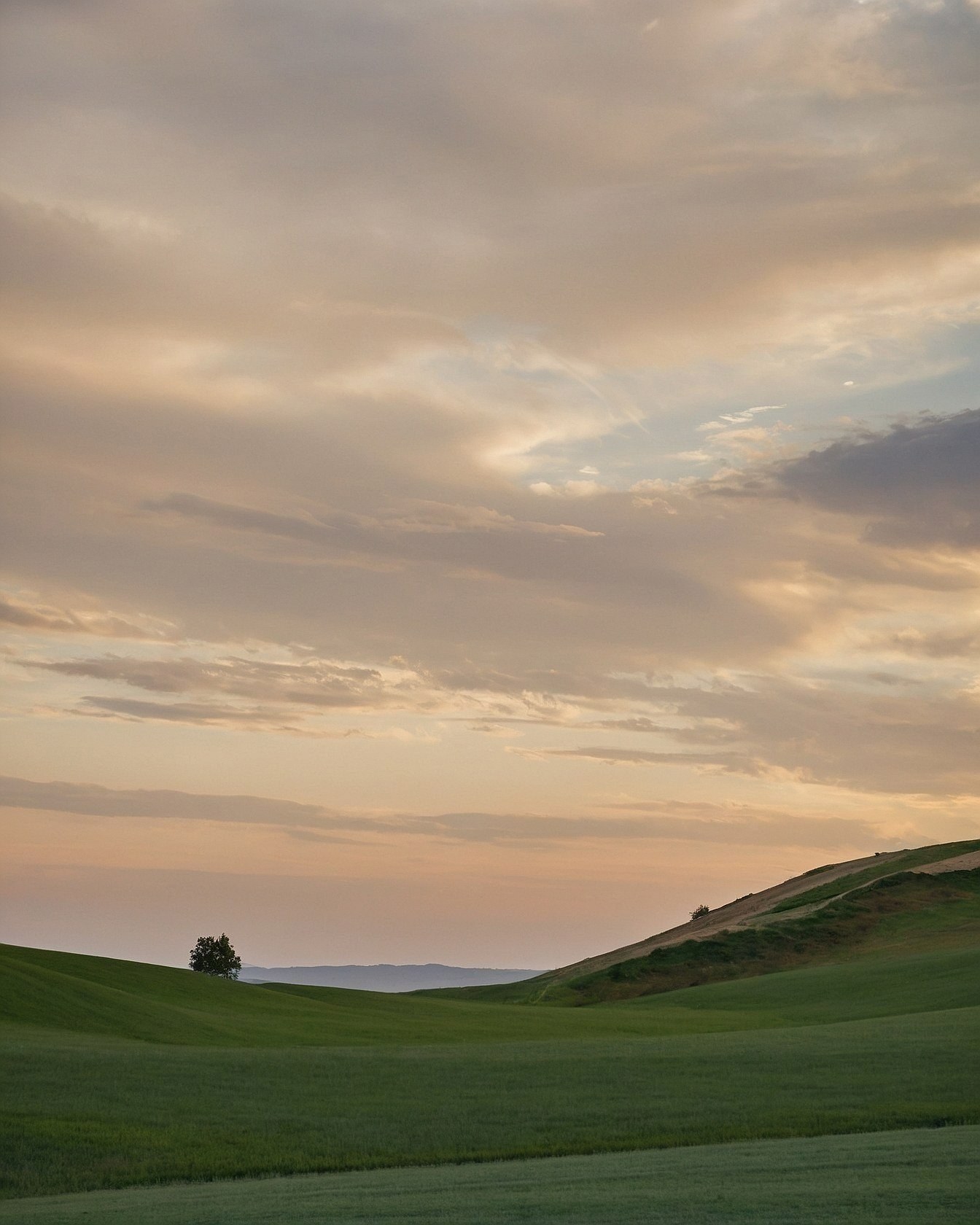 Pastel clouds drift over rolling green hills