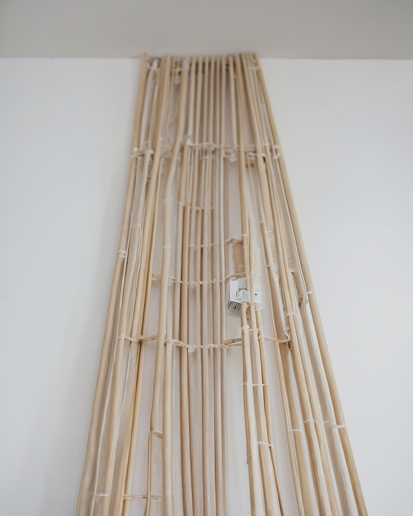 Tightly Bound Natural Reeds on White
