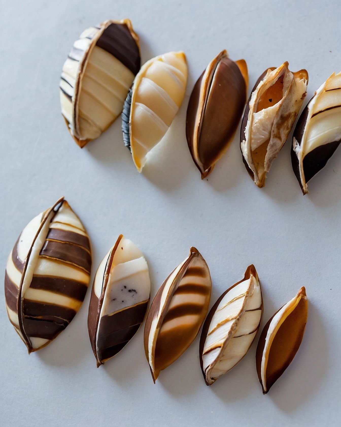 Striated Chocolate and Cream Confections