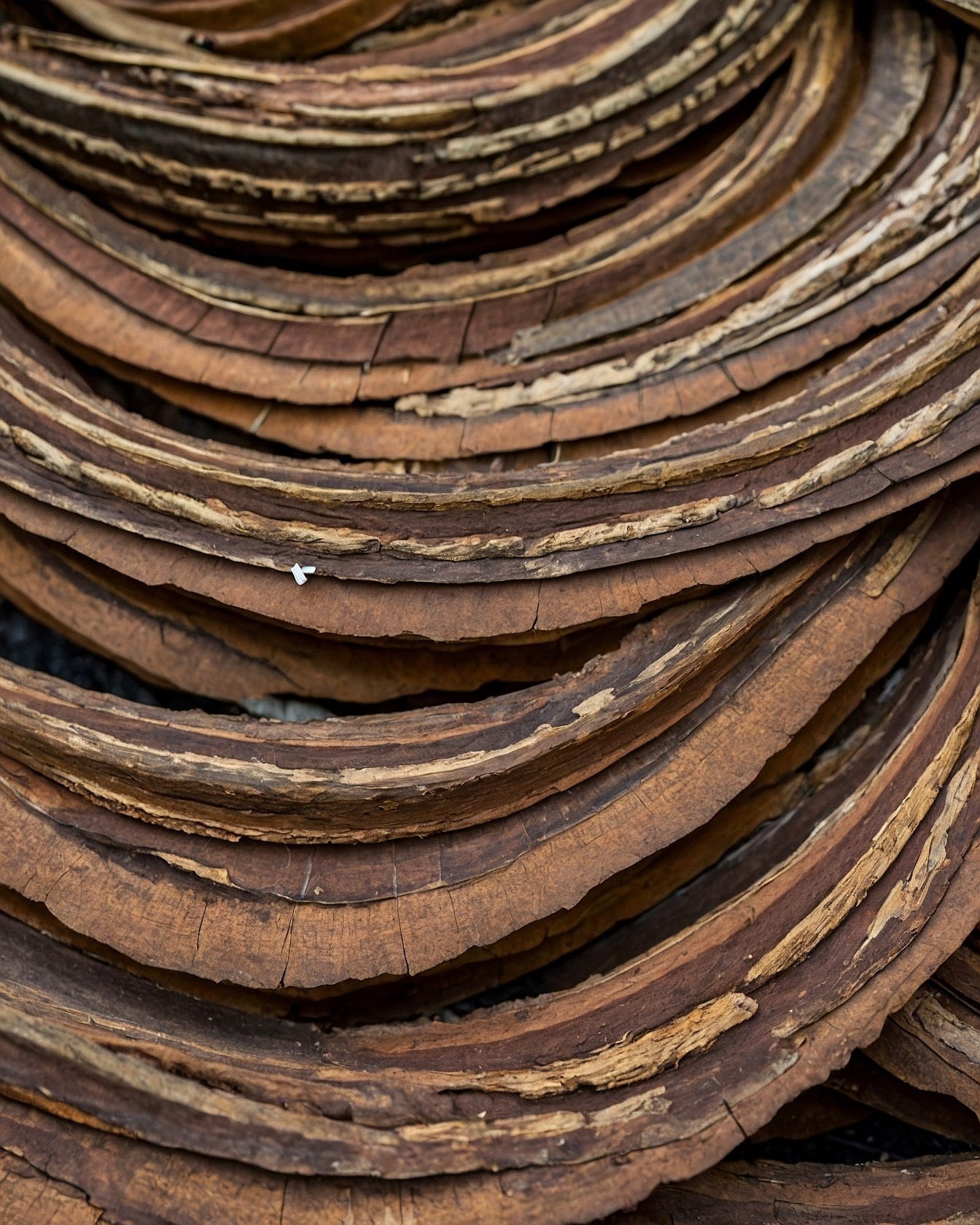 Choosing Wood Grain Stereo Wallpaper For Your Space