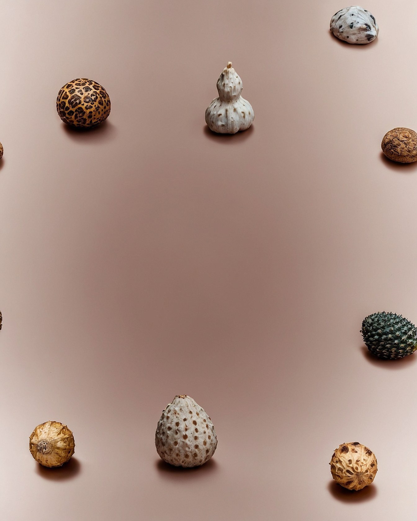 Selecting Earthy Butterfly Wallpapers For Neutral Phone Backgrounds