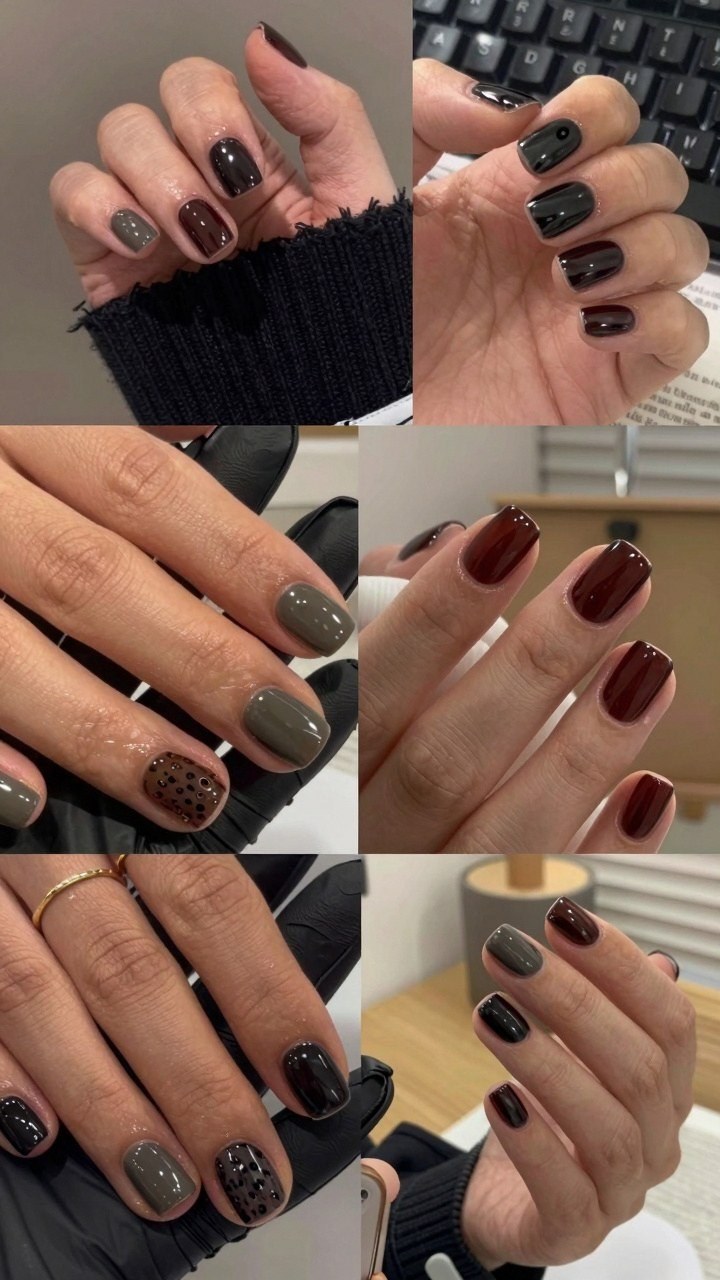 Deciding Between Solid Black Cherry and Mixed Winter Tones