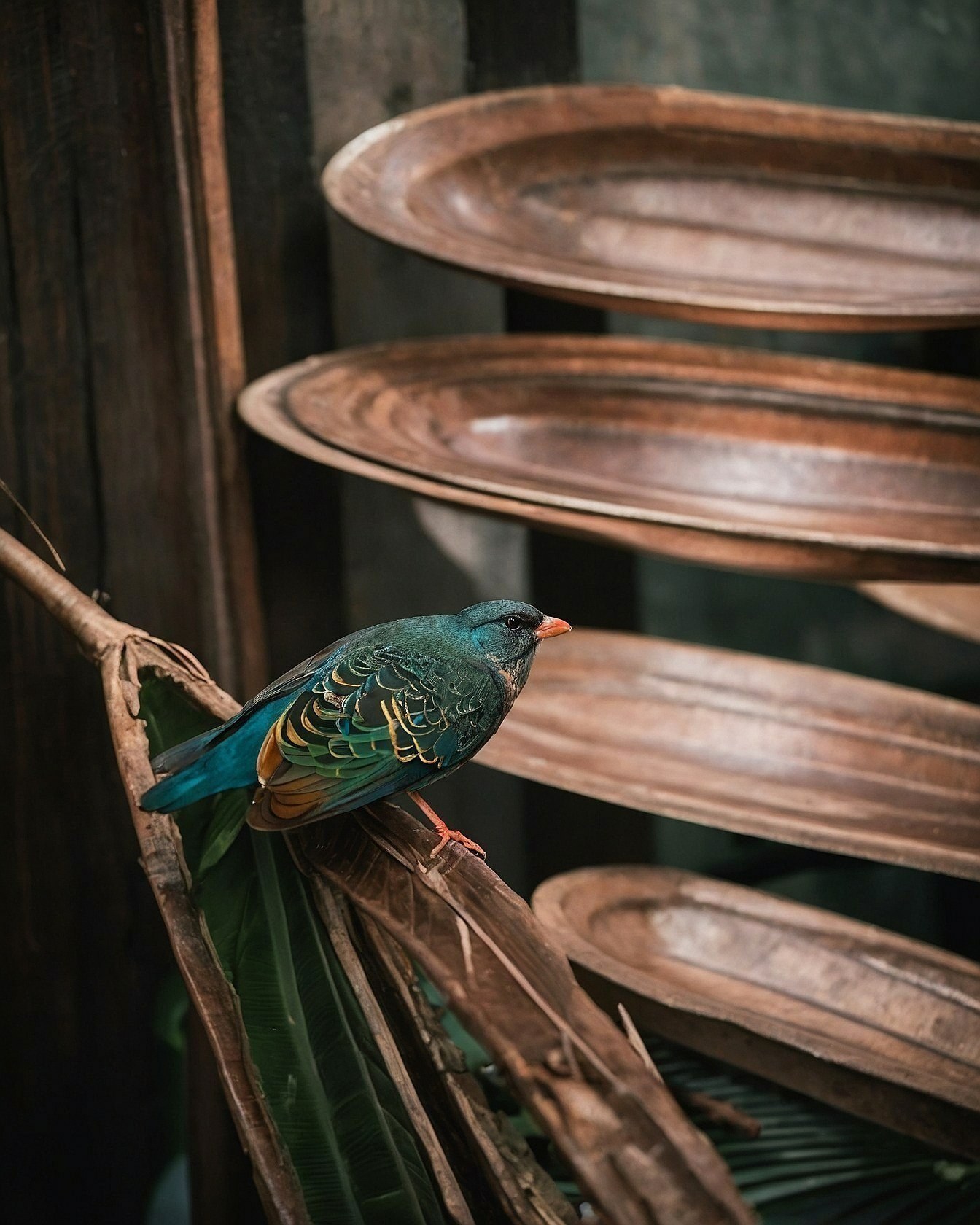 A Jewel-Toned Bird Perched on Textured Wood