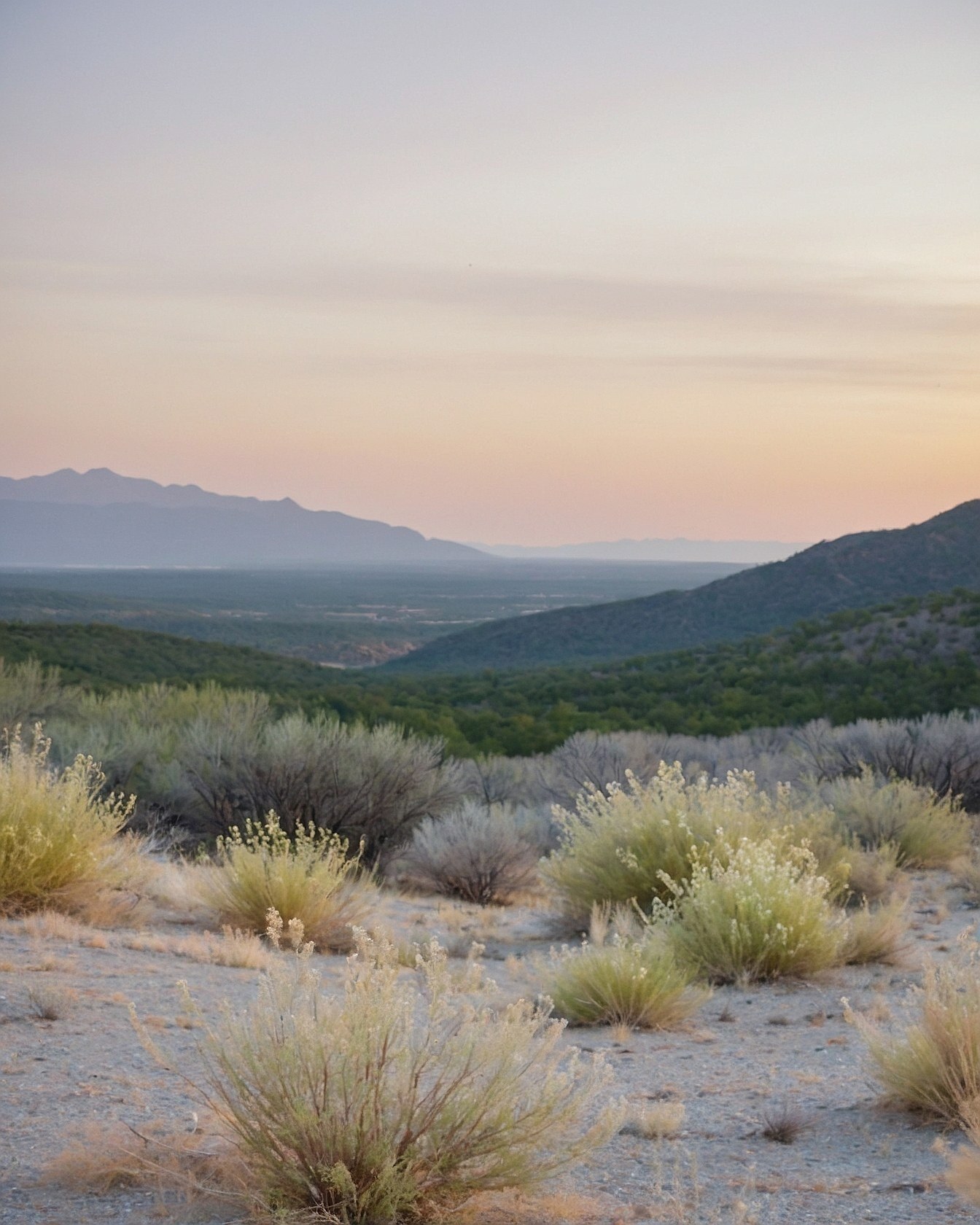 Subtle Desert Hues at Dusk