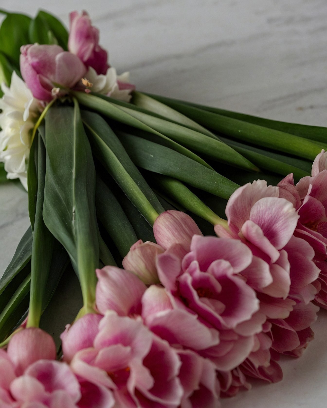 Soft Pinks and Deep Greens