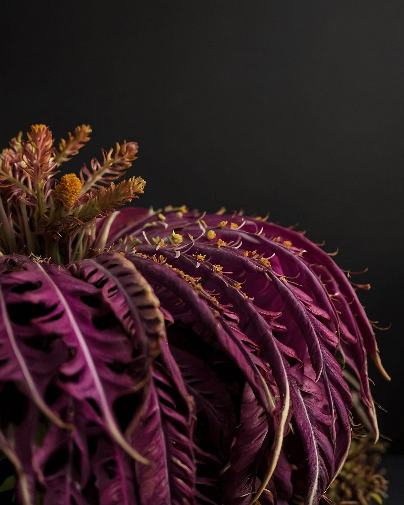 Deep plum and subtle ochre blooms