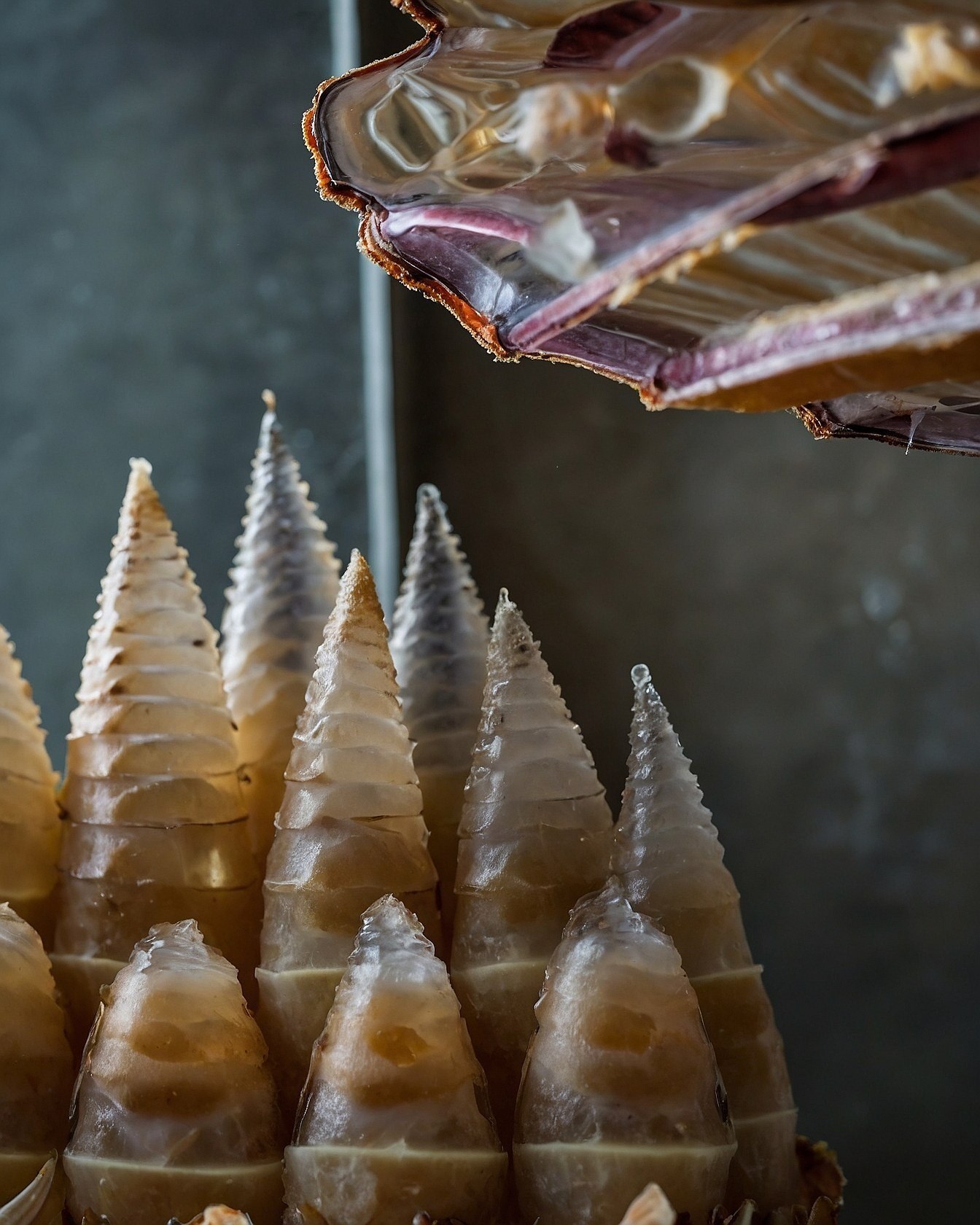 Soft Umber and Amber Hues on Spired Forms