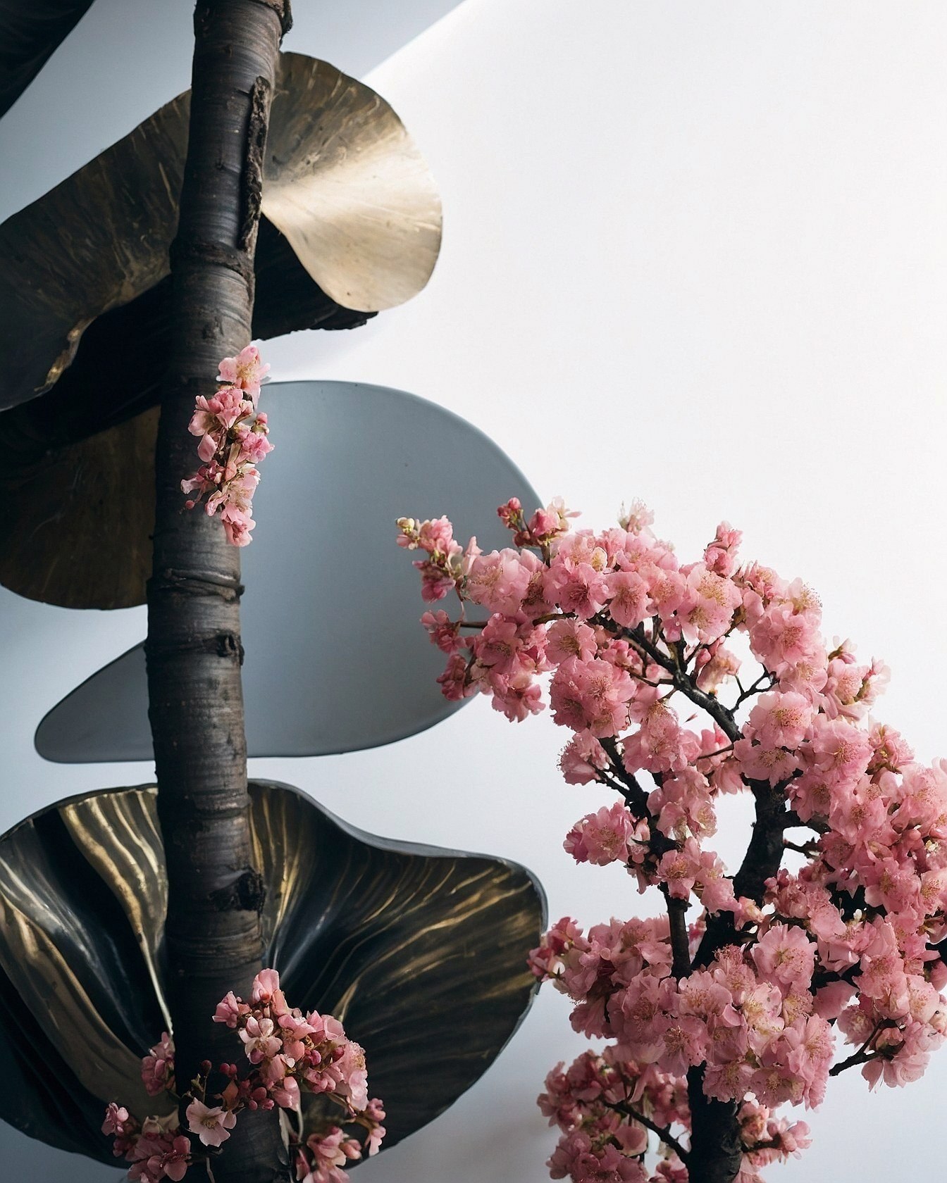 Styling Cherry Blossom Tree Wallpapers for Mobile Screens