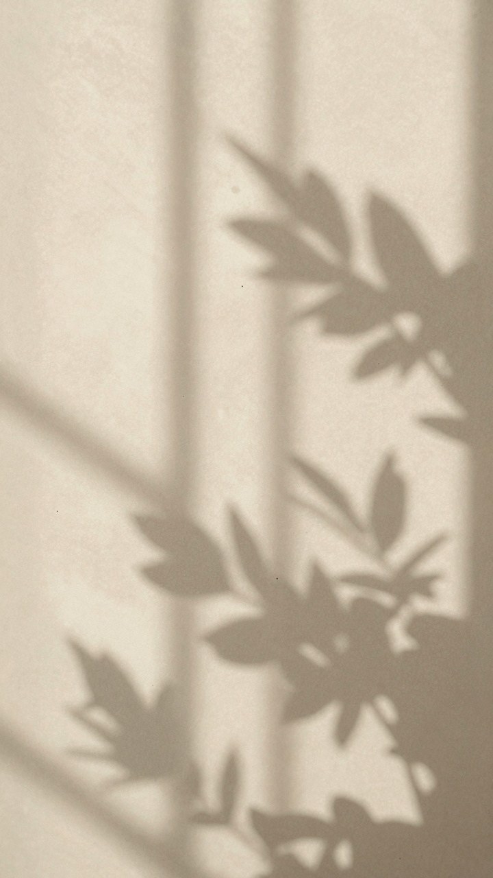 Applying Leaf Shadow Motif Sage Green Wallpaper
