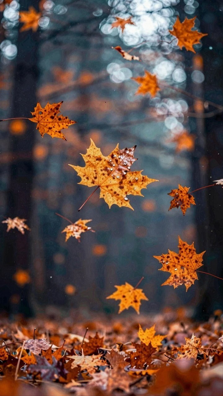 Designing a Falling Maple Leaves Autumn Wallpaper