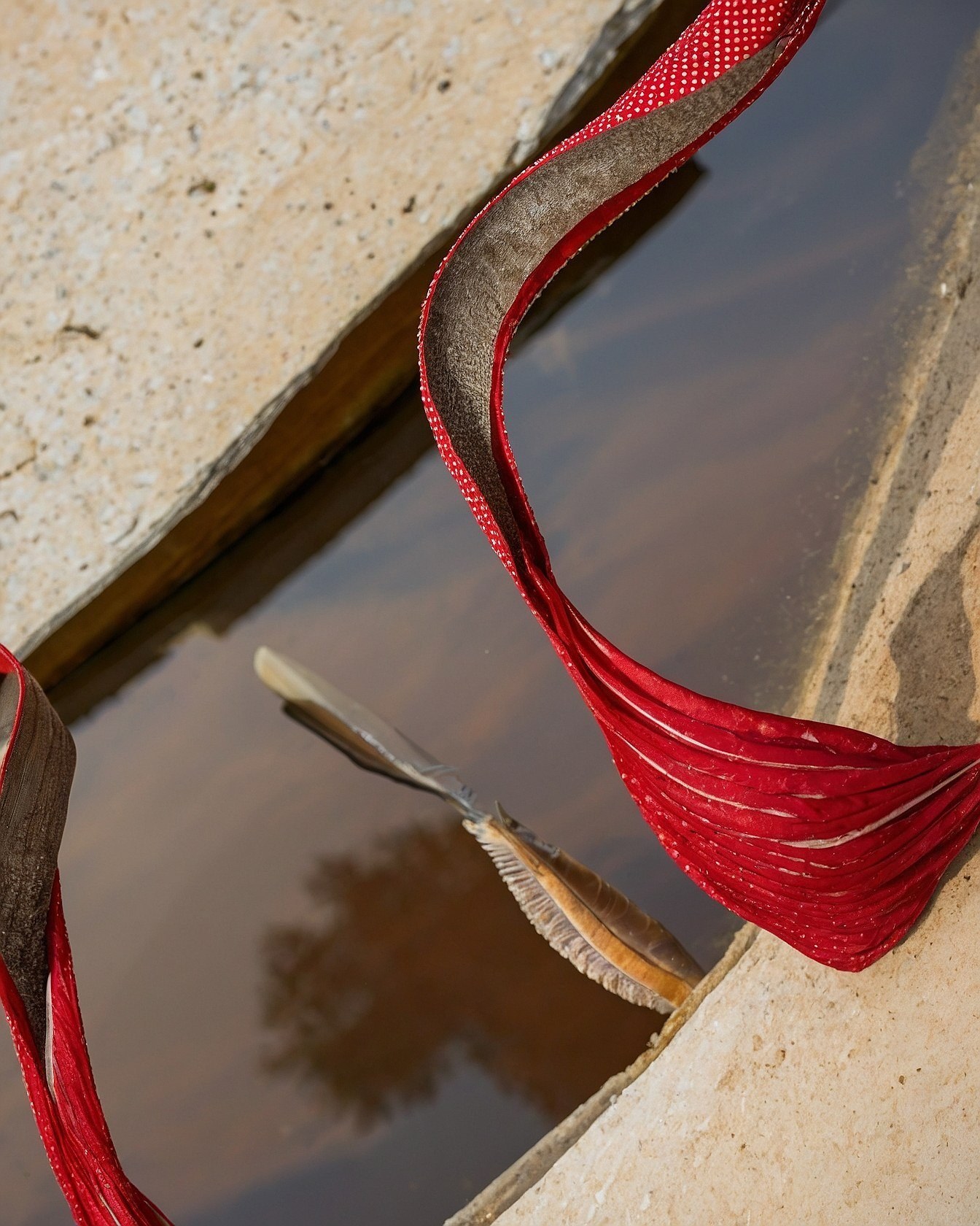 Juxtaposition of Textured Red and Smooth Tan Straps