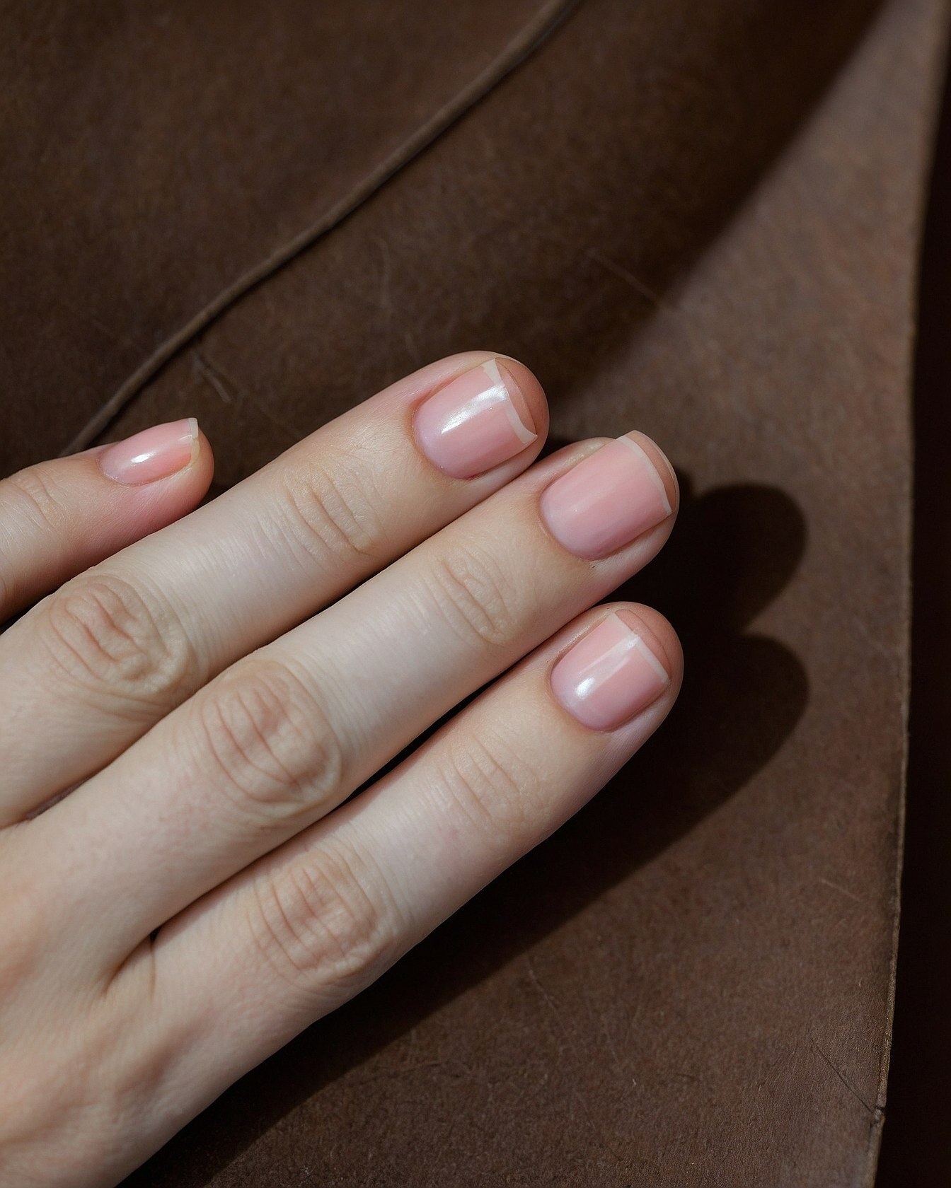 Dapper Brown Leather Case Holds Delicate Silks
