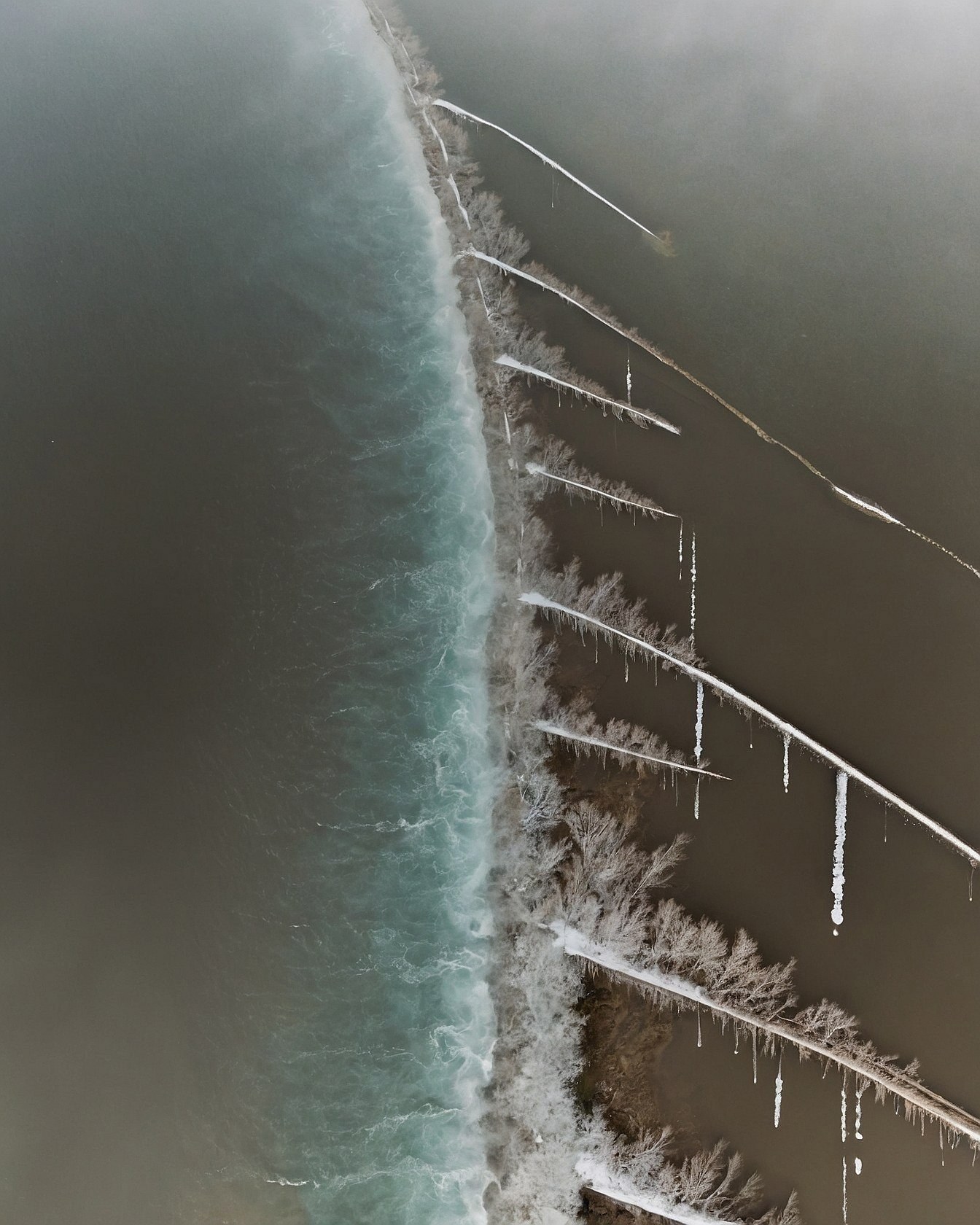 Frozen Branches Against A Grey Sea