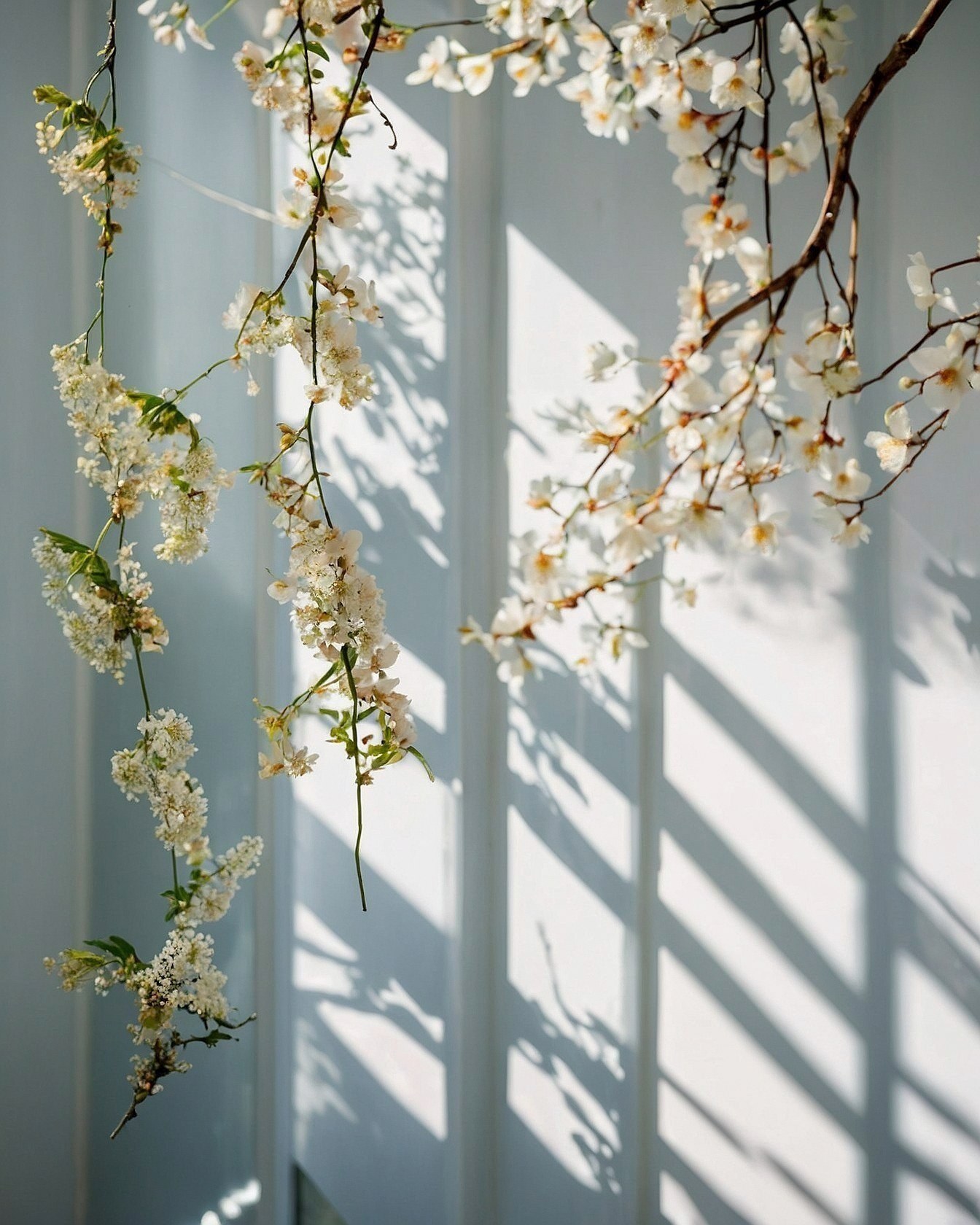 Delicate Blooms and Crisp Lines