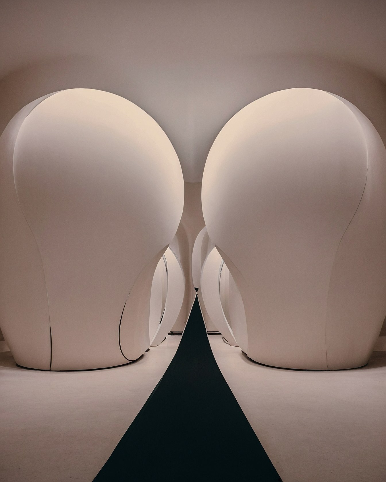 Bold Geometric Pods Contrasting with Soft Curves