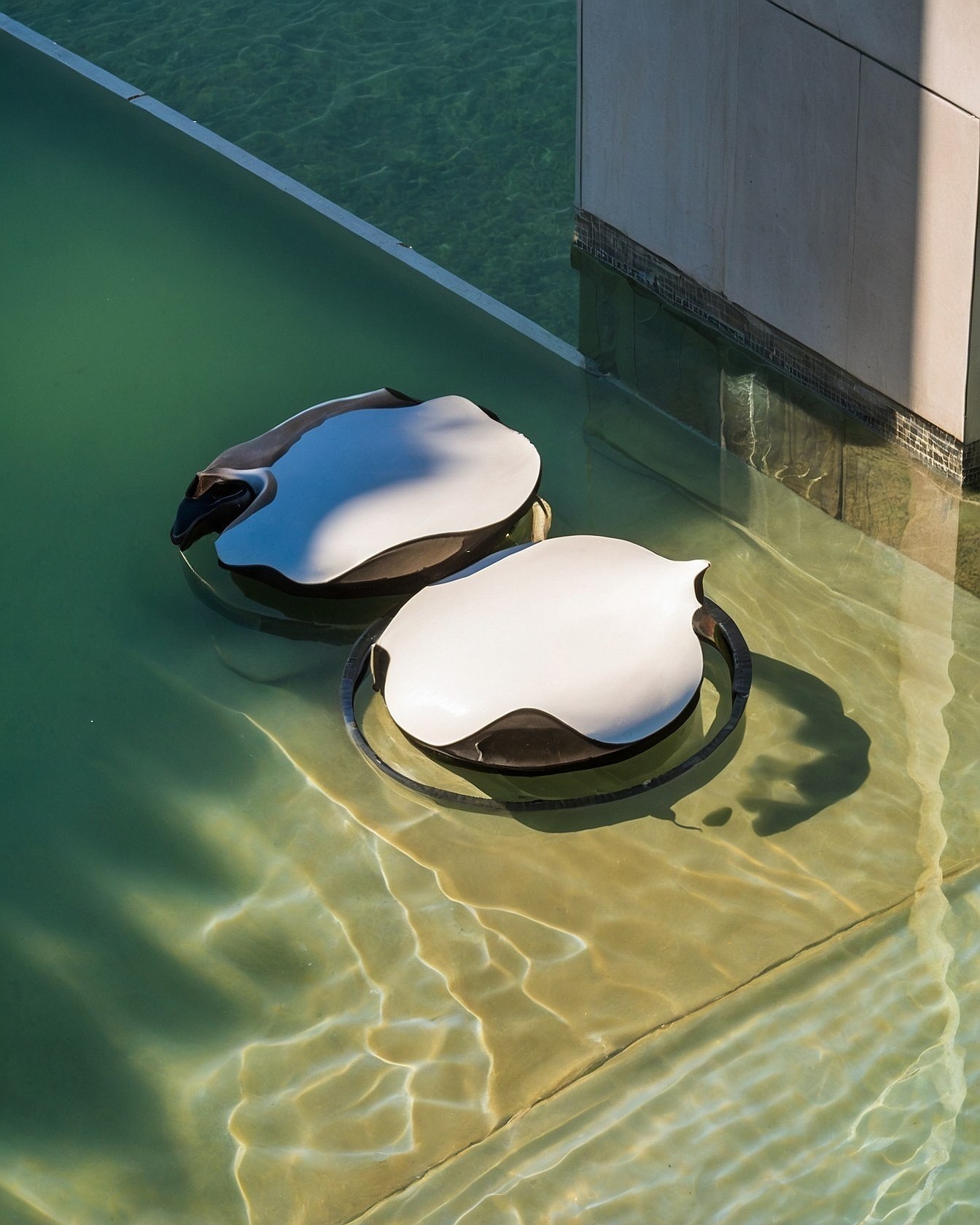 Bringing Whimsical Water Themes To Your Phone Wallpaper