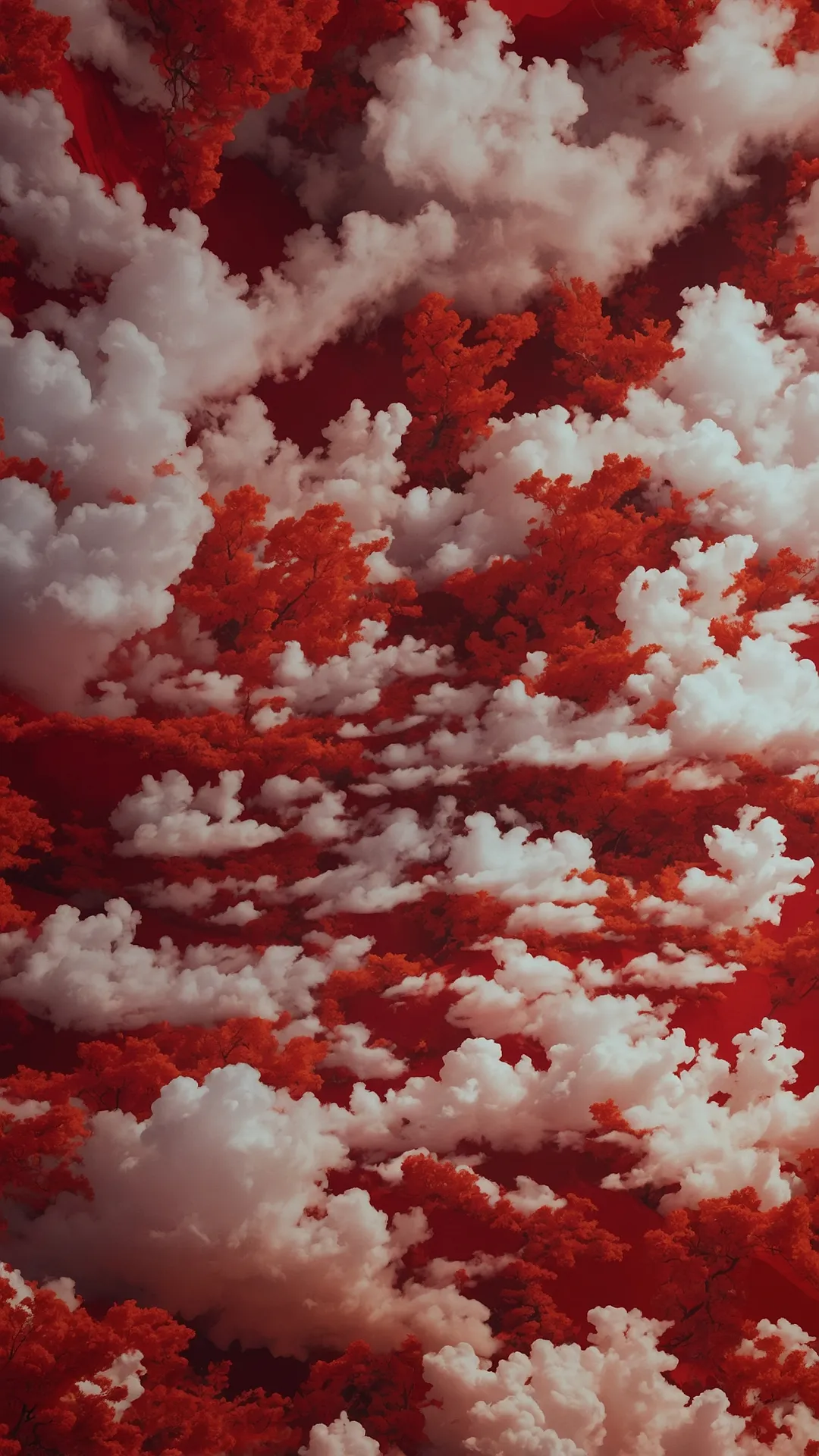 Rose Cloud Dream