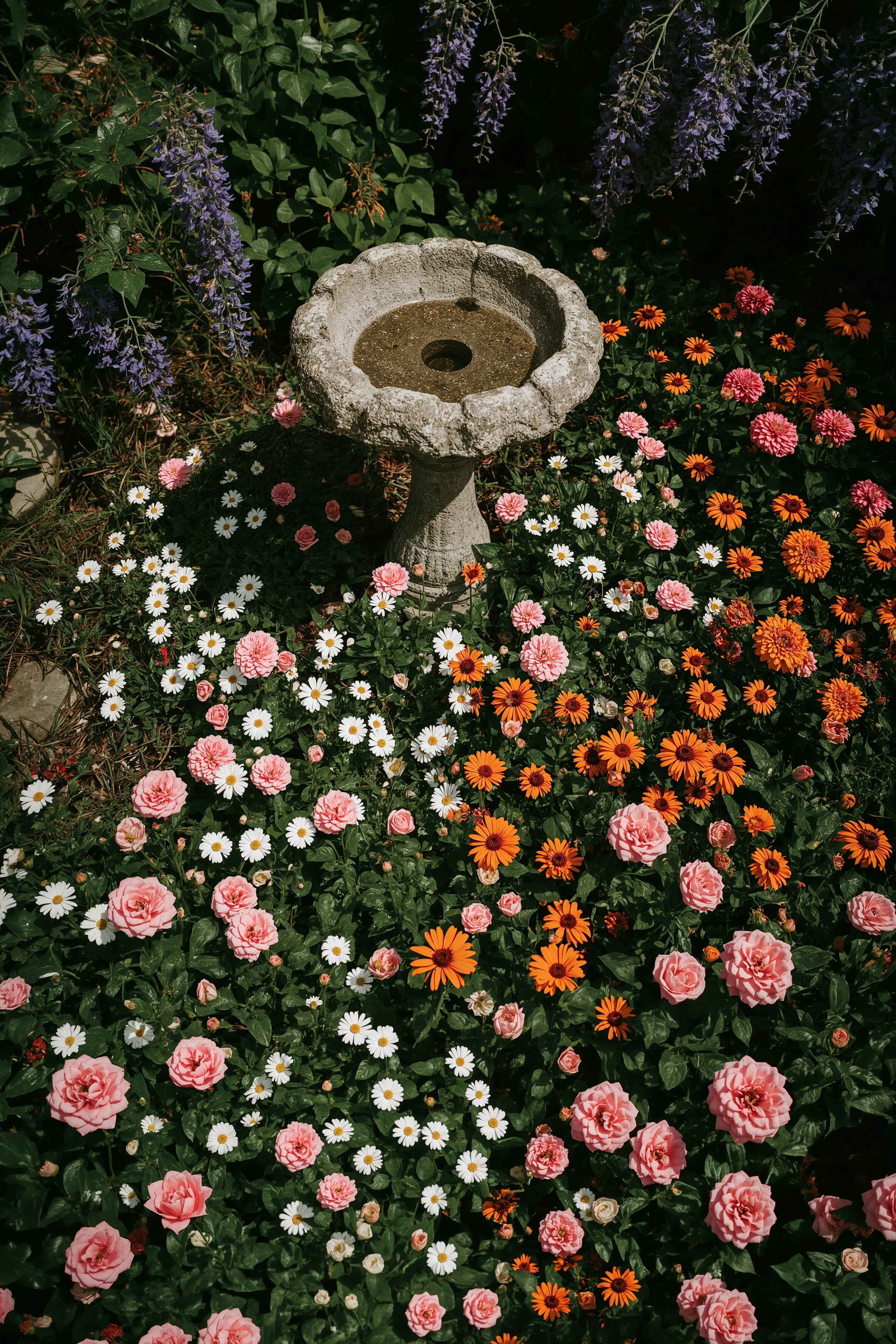 Enchanting English Cottage Garden with Bird Bath Charm