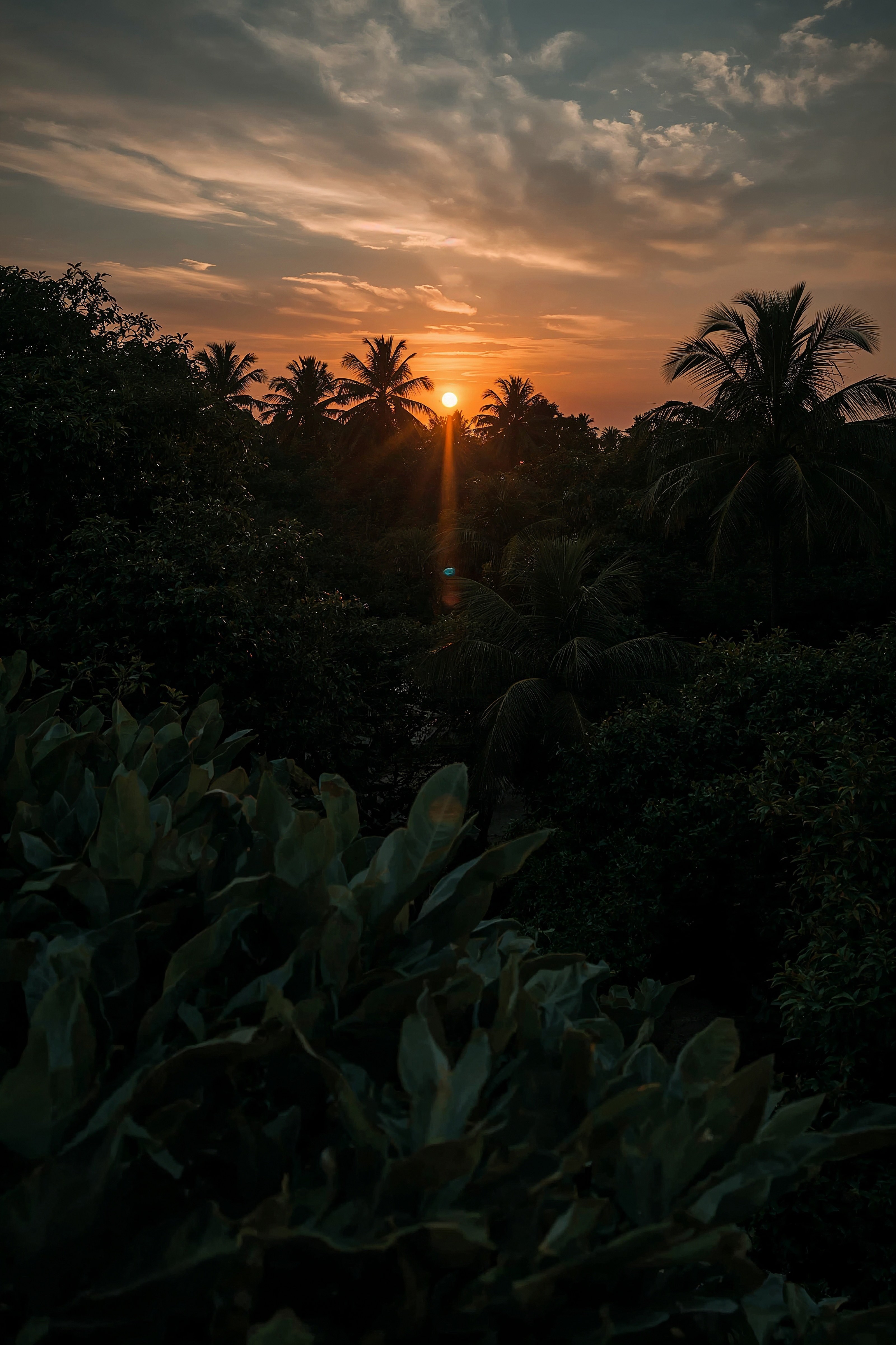Breathtaking Brazil Sunset 4K HD Wallpaper for Your Desktop