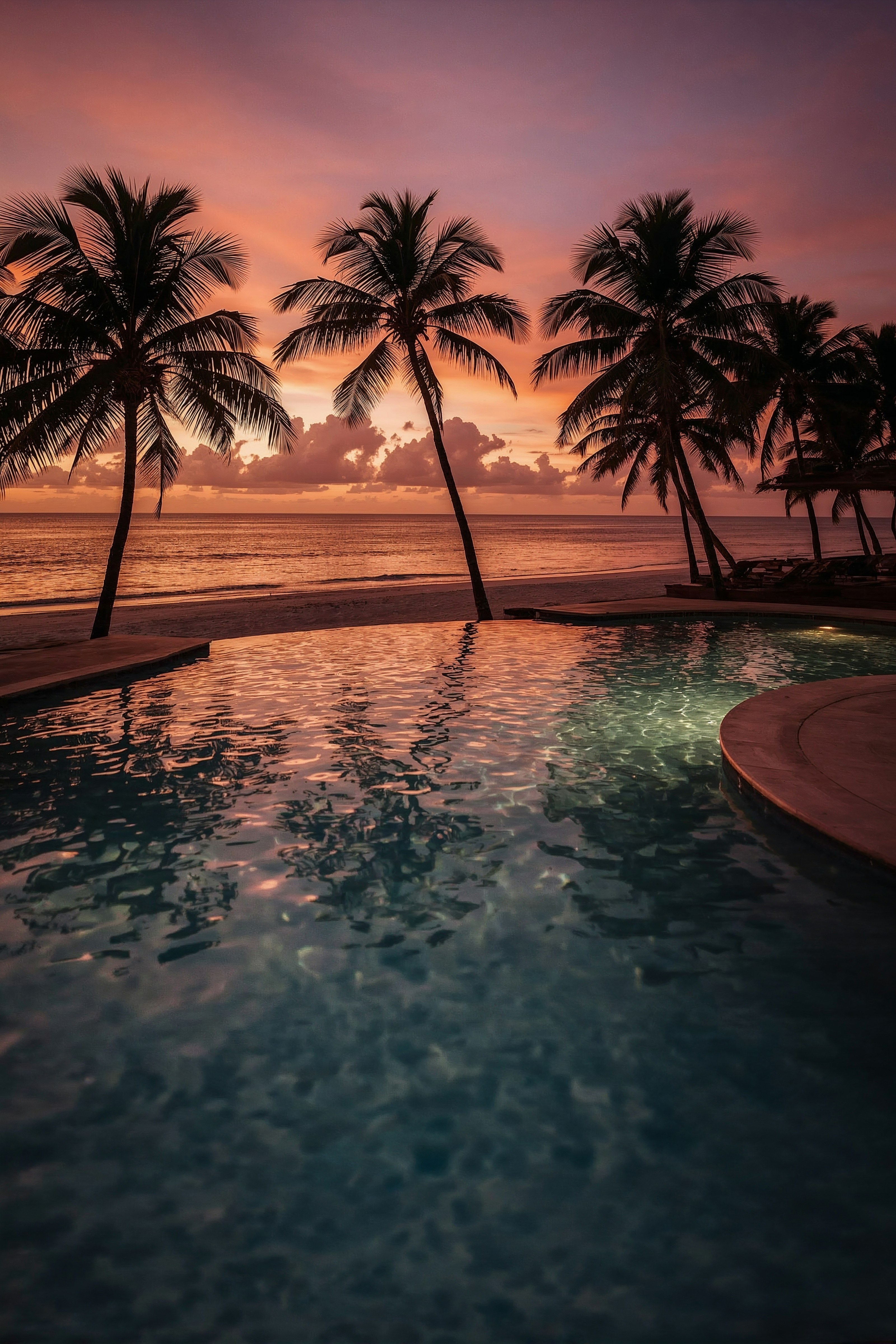 Summer Sunset Beach Wallpaper: Tropical iPhone Vibes 4K