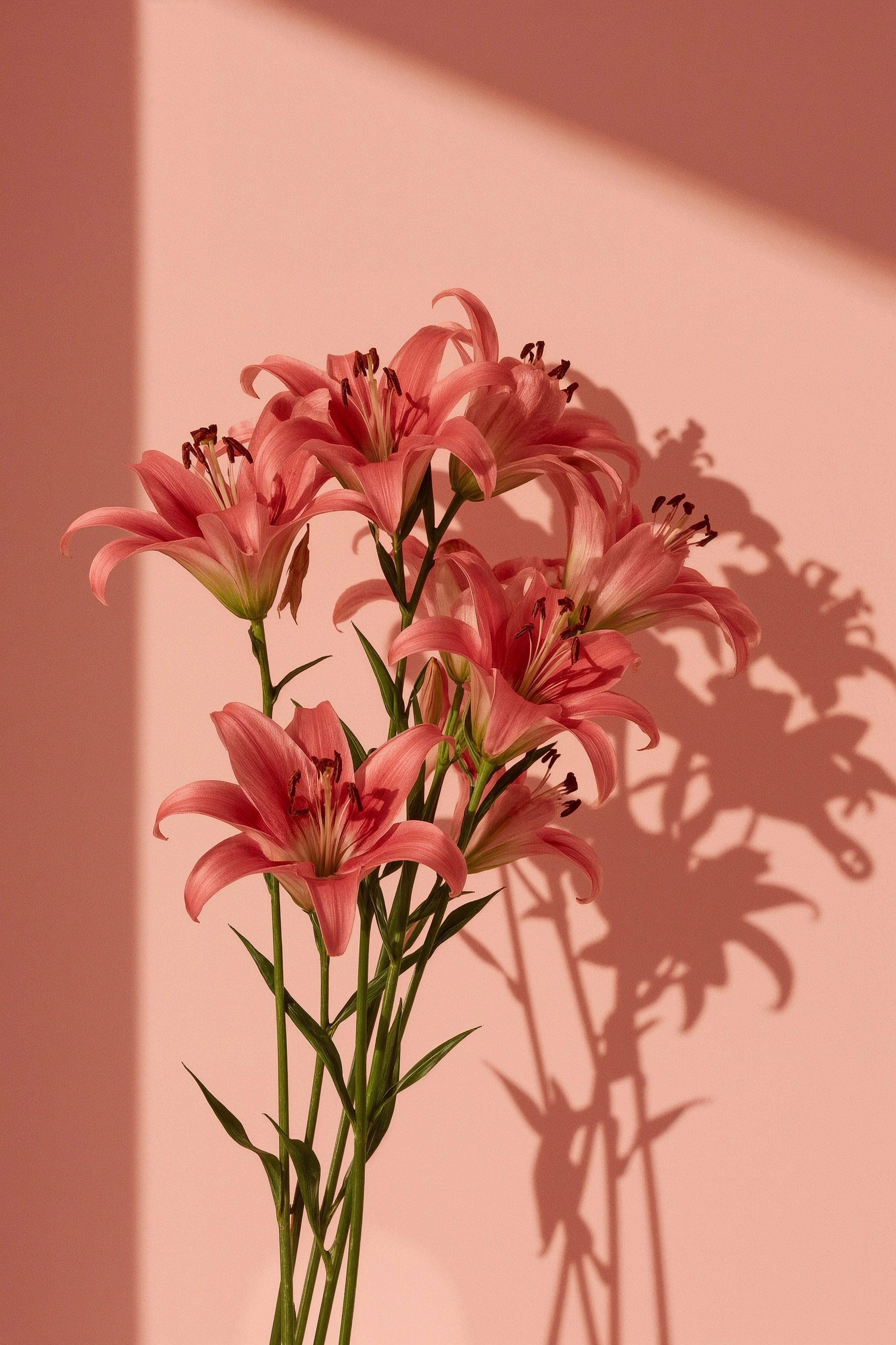 Pink Lilies: Cute Pastel Aesthetic for Ipad & Macbook Wallpaper
