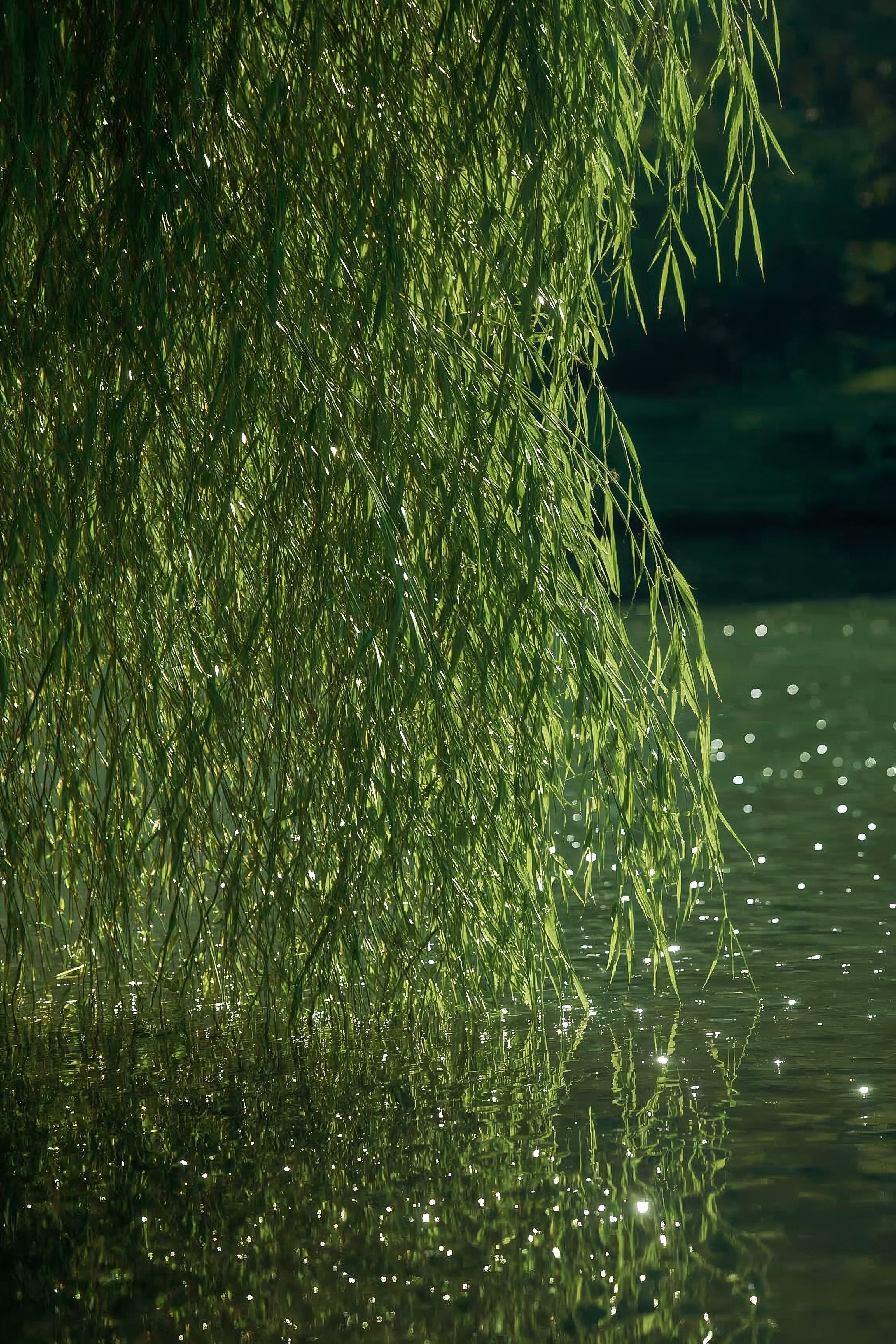 Weeping Willow Lake: A Captivating Fantasy Aesthetic