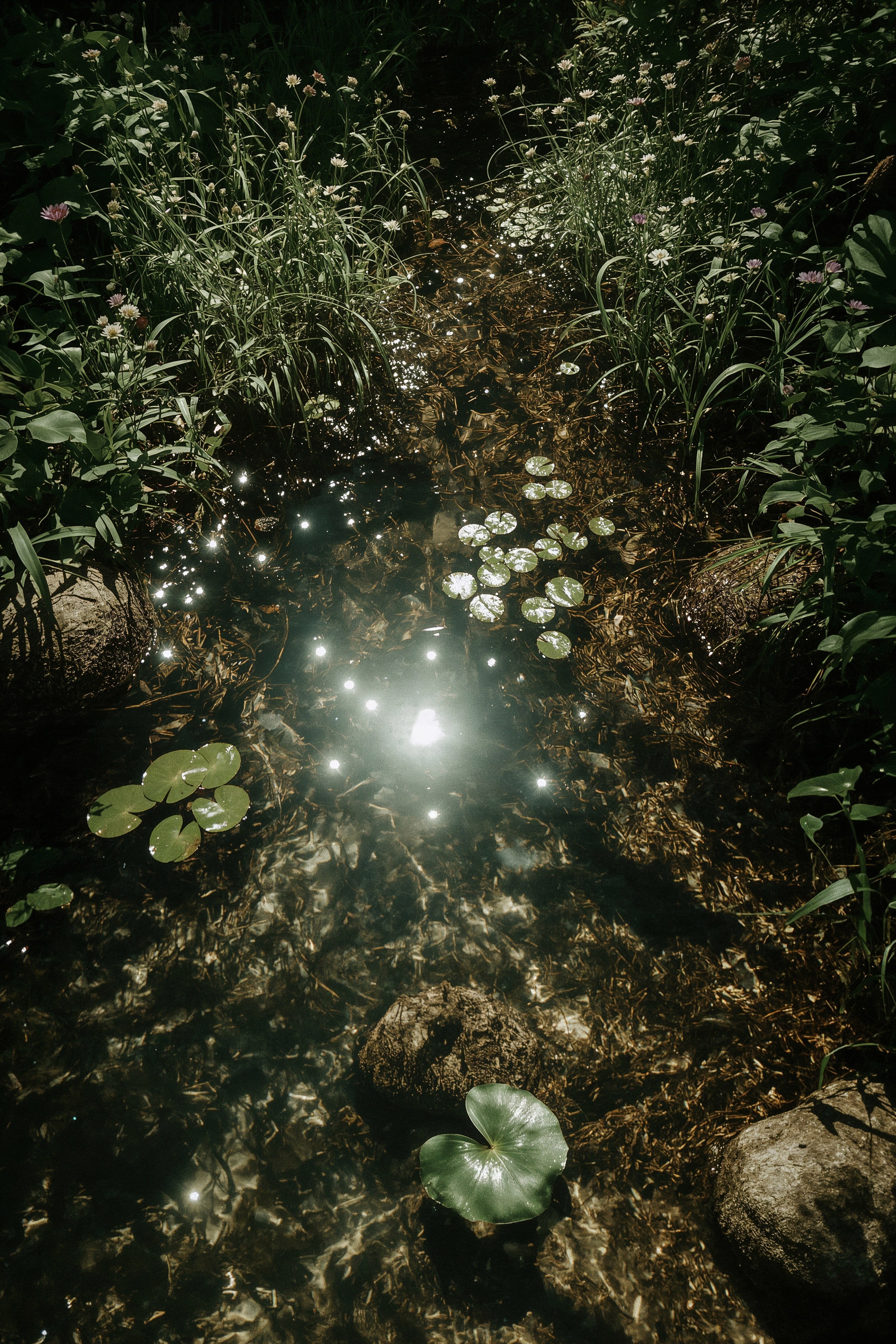 Whimsical Pond for Romantic Garden Scenery
