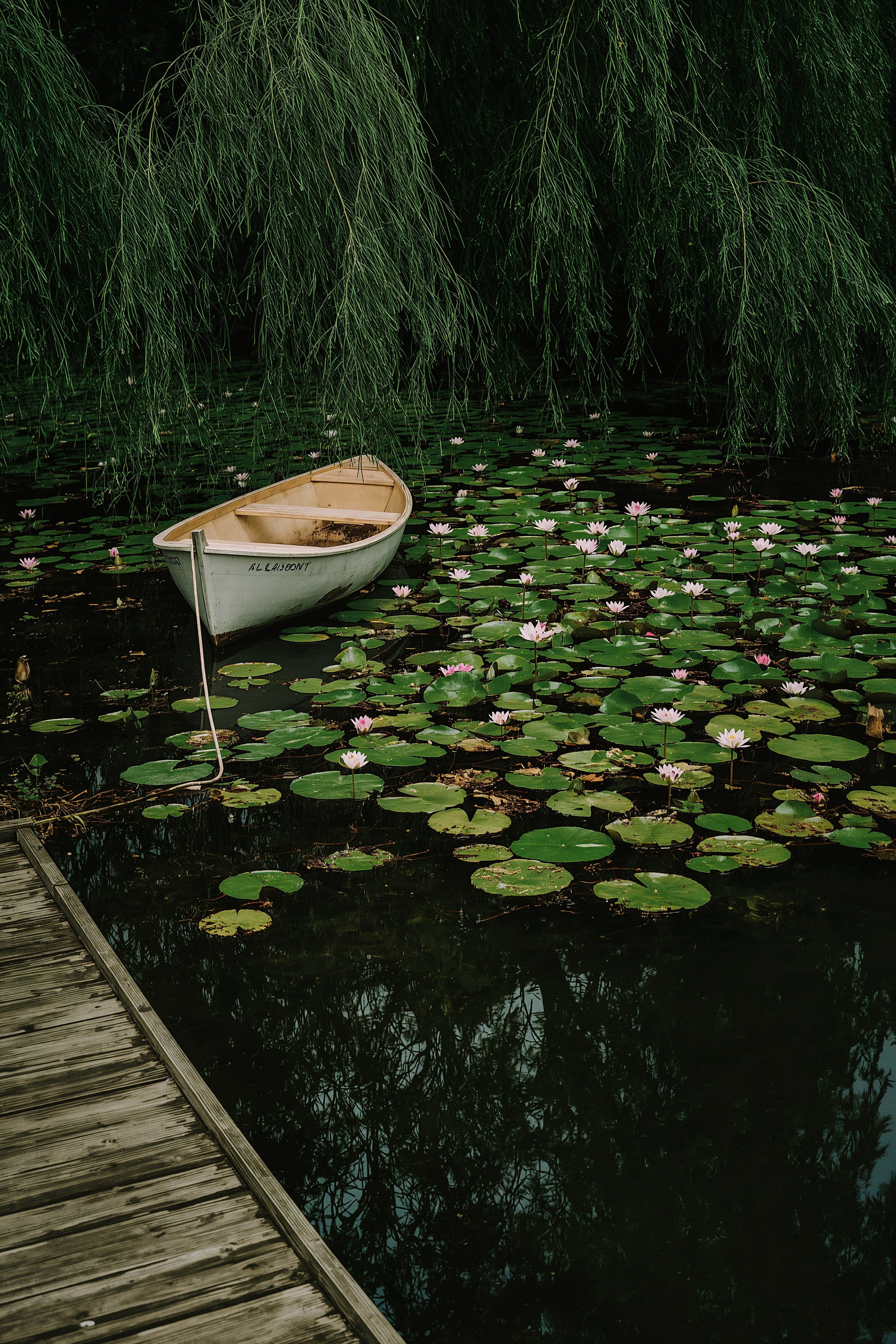 Whimsical Rowboat Scene: Vintage Flower Garden Aesthetic & Relaxing Landscapes