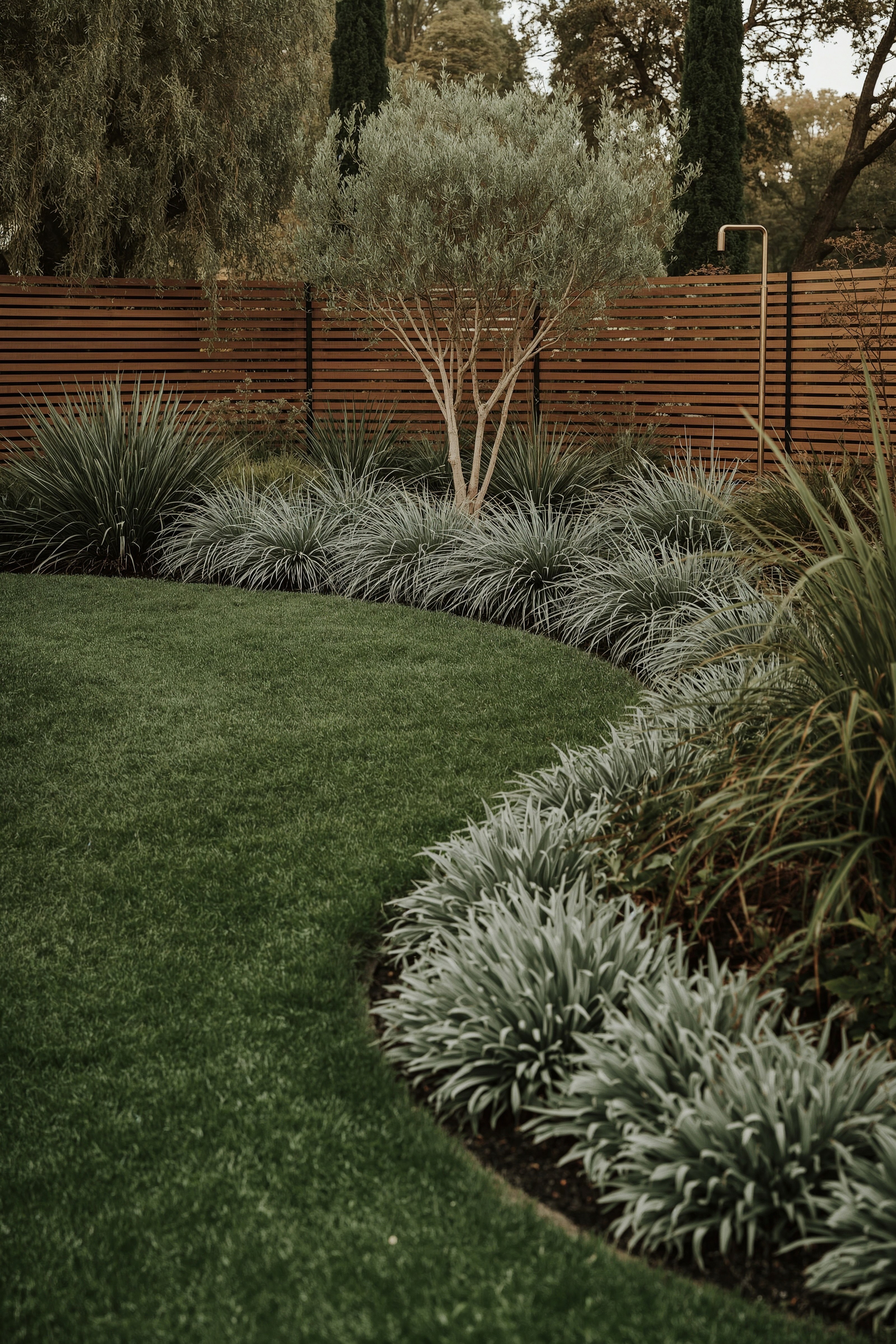 Natural Backyard Retreat: Modern Garden & Landscape Planting
