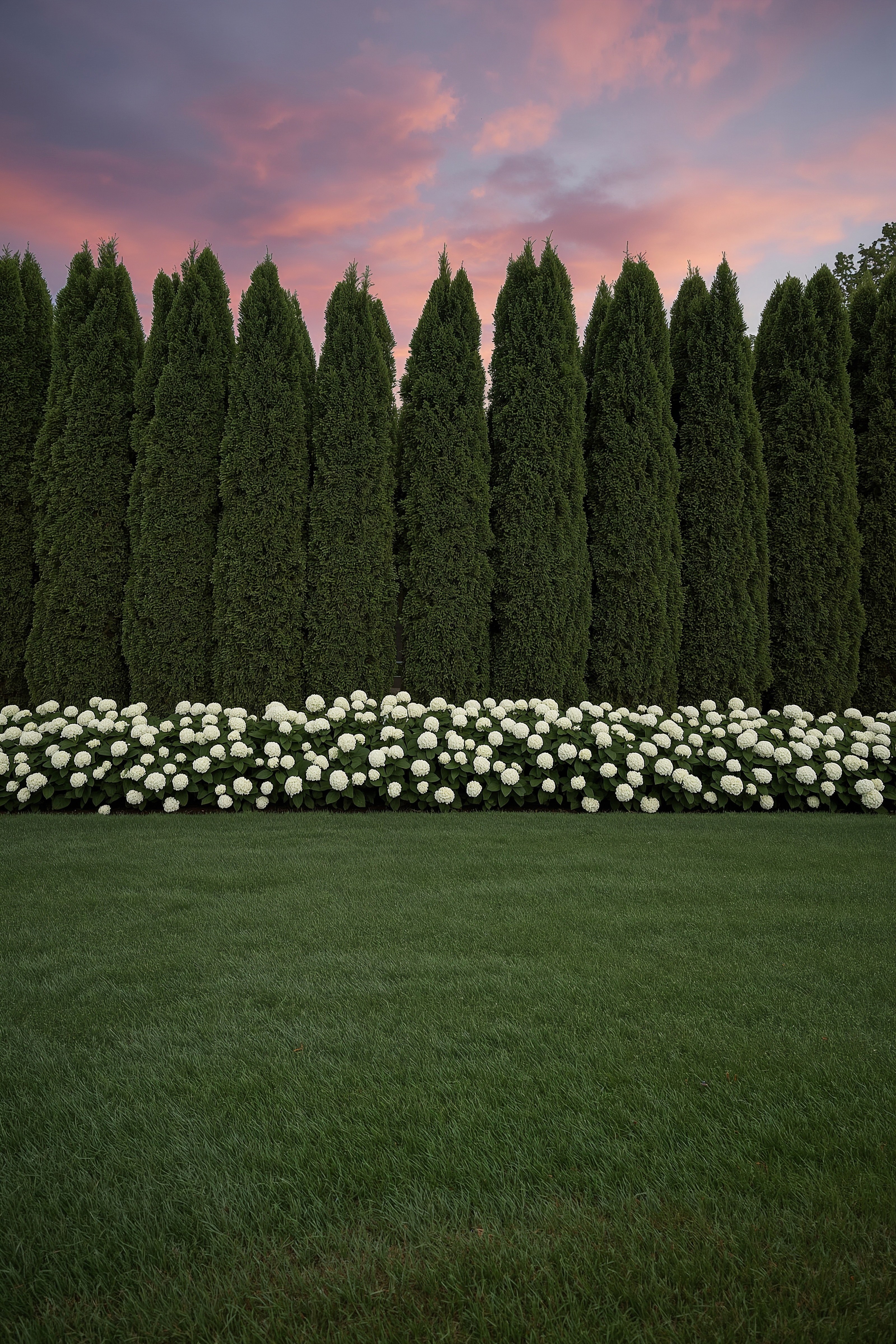 Elegant Front Garden Ideas for Ultimate Backyard Privacy