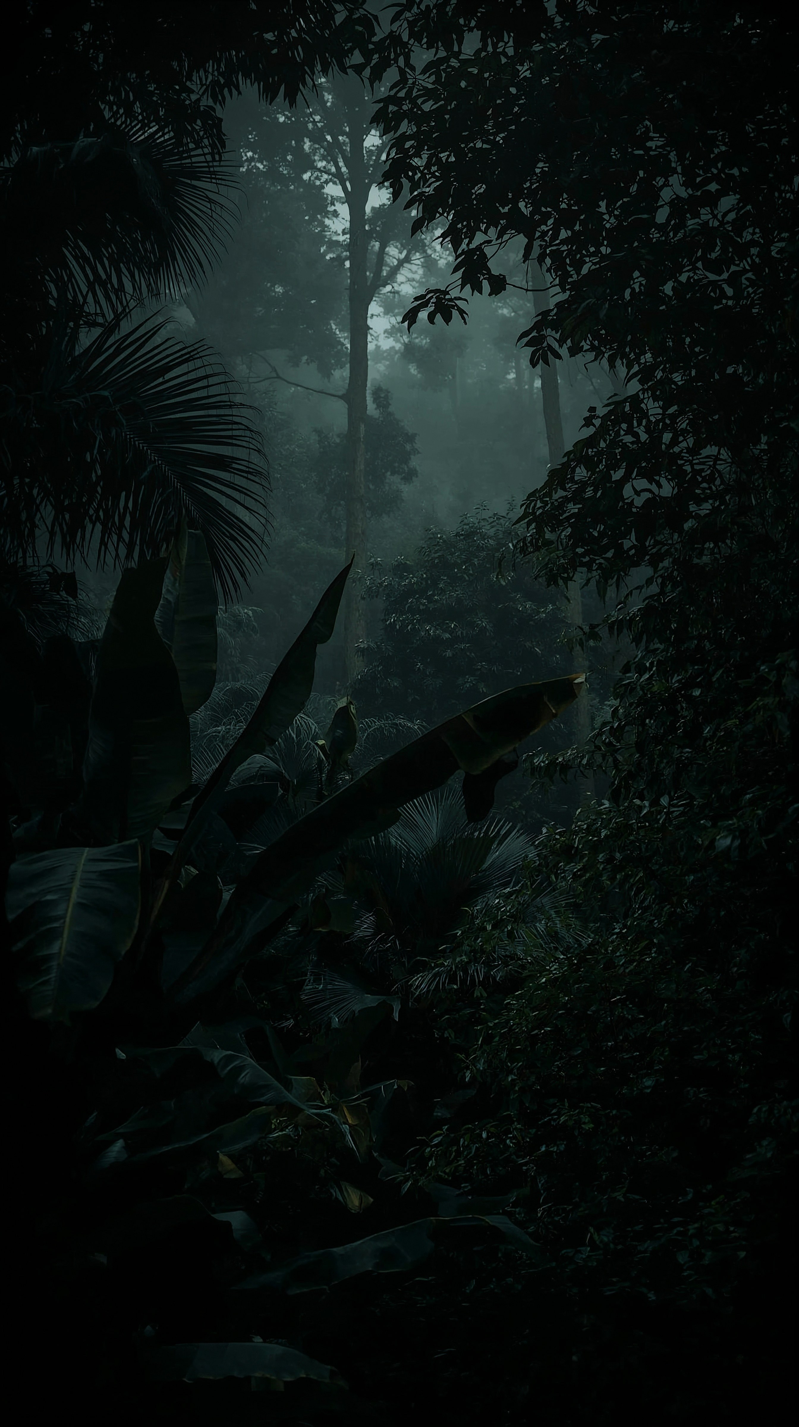 Misty Jungle Mystique: Lush Green Forest Wallpaper Escape