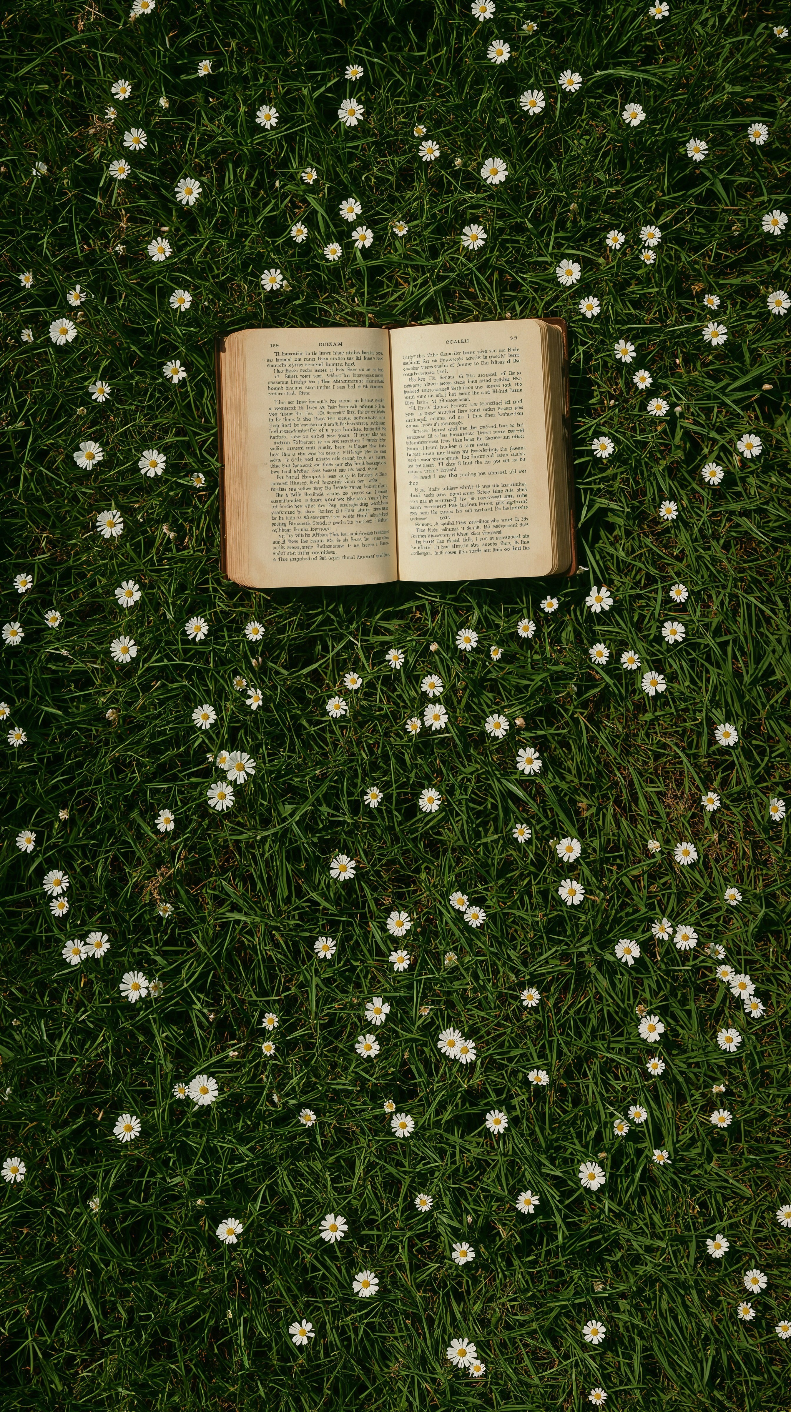 Spring Book Aesthetic: Simple Flower Wallpapers for Your Phone