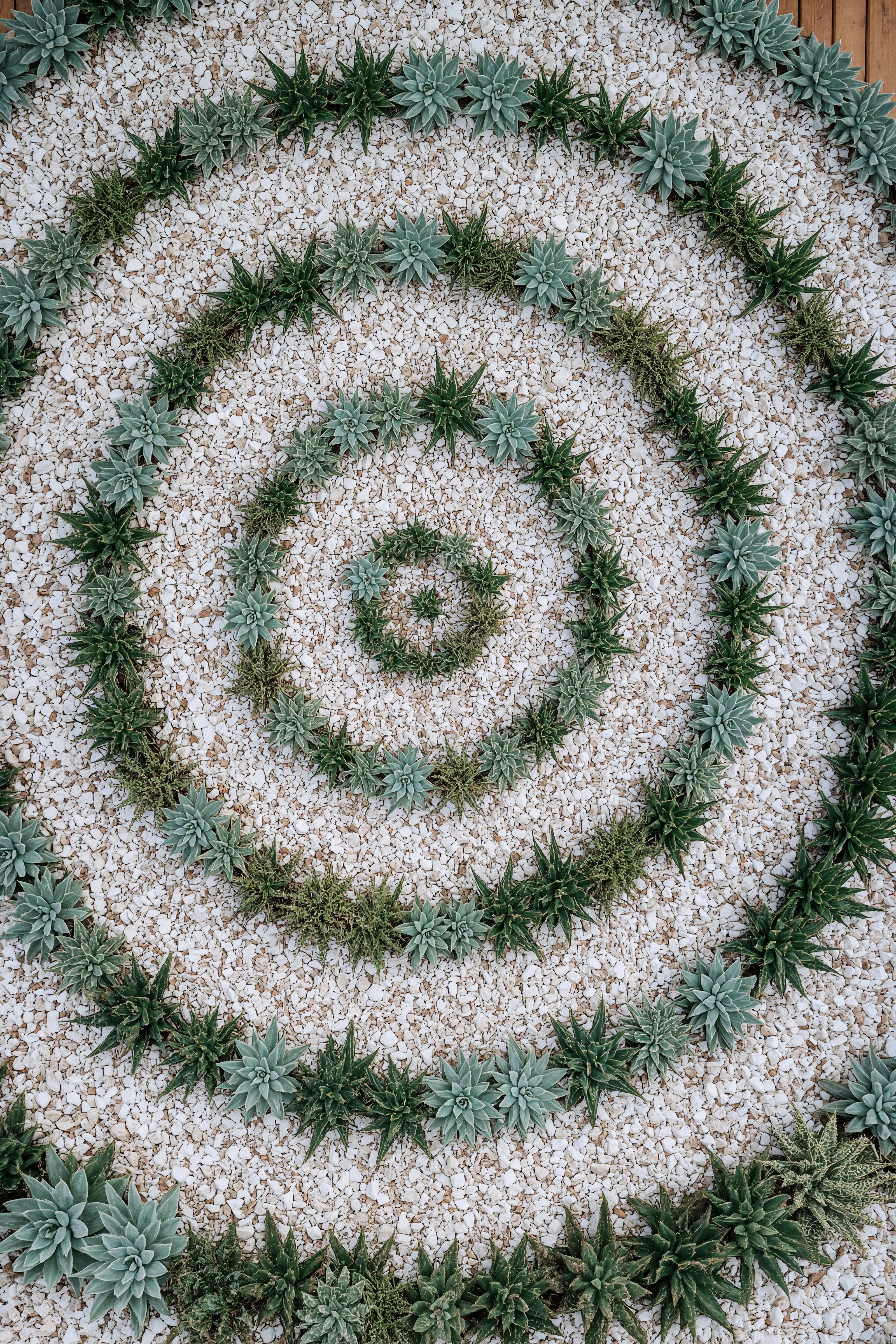 Artistic Backyard Rock Designs for Succulent Lovers