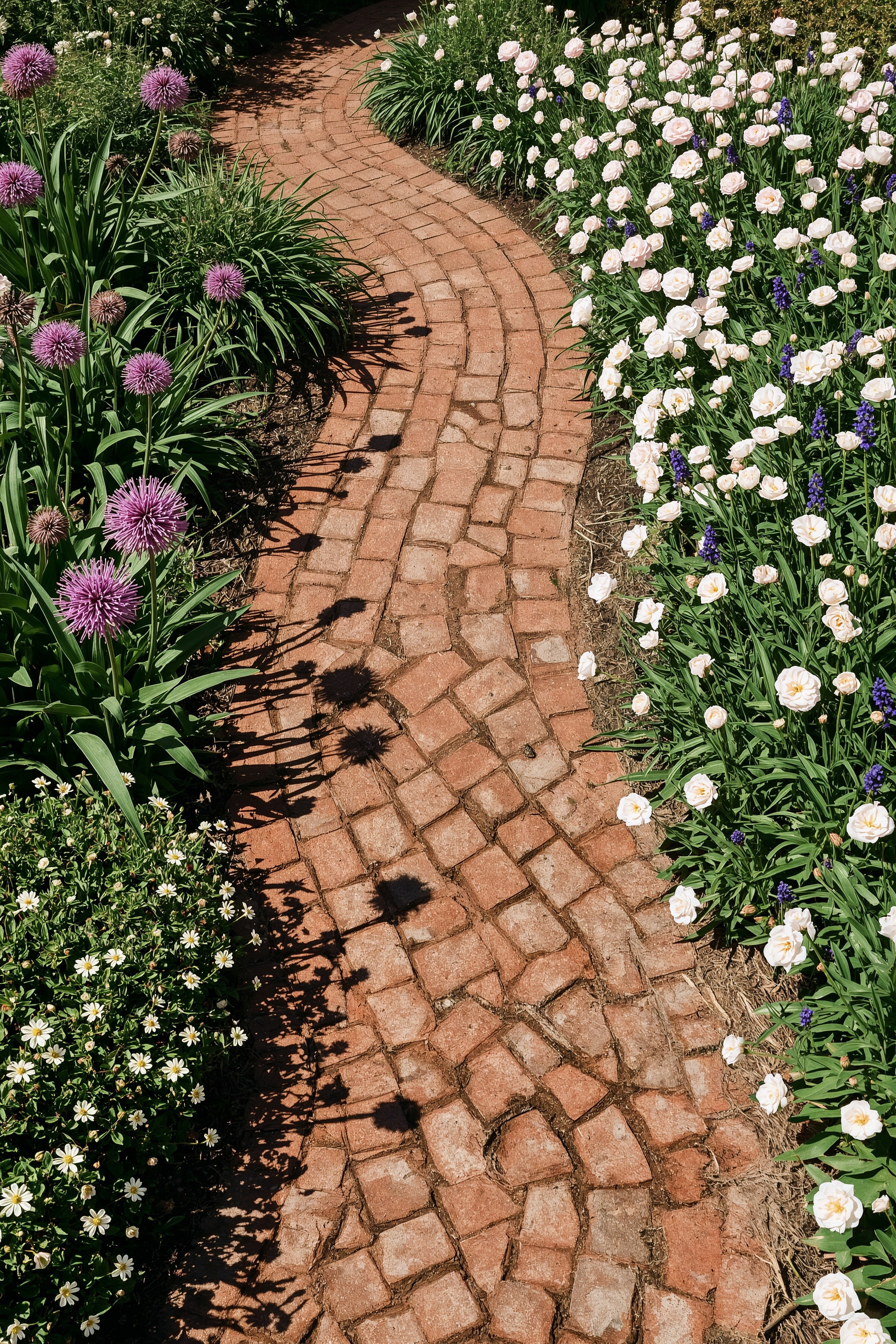 Charming Front Yard Garden: English Cottage Landscaping with Alliums & Brick Paths