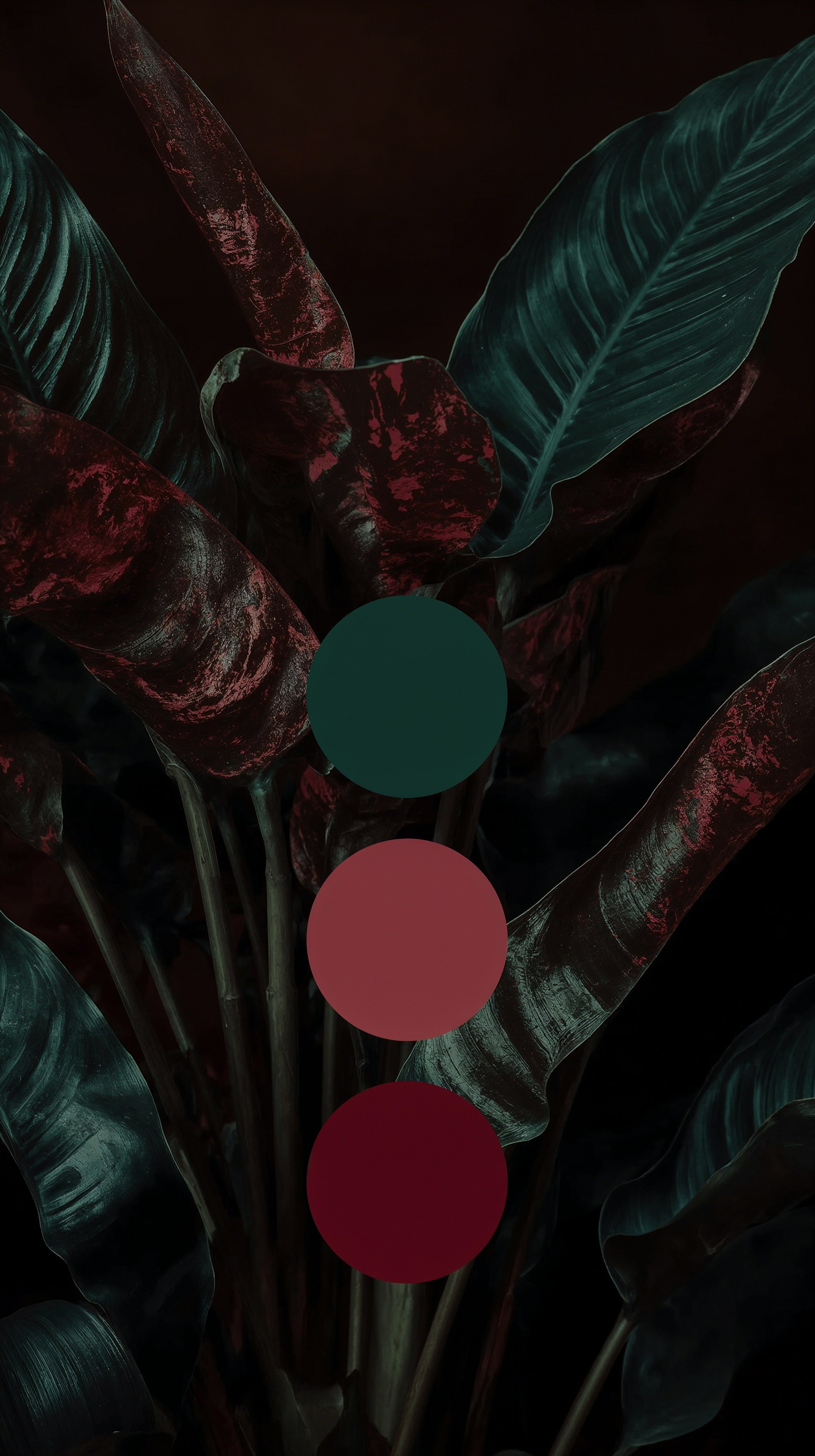 Emerald & Berry: Bold Maximalist Color Palettes for Dramatic Interiors