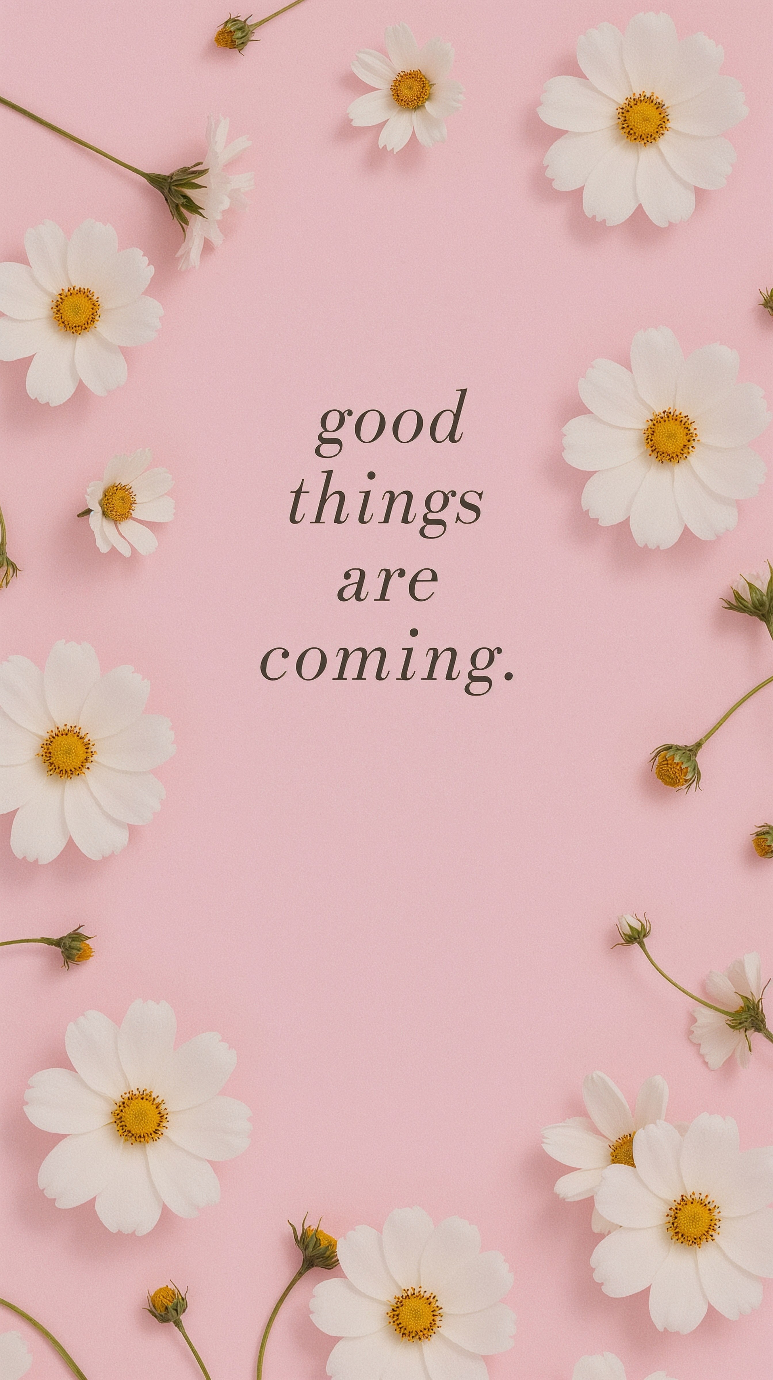 Spring Affirmation Wallpaper: Pink Flower Aesthetic for Positive Vibes