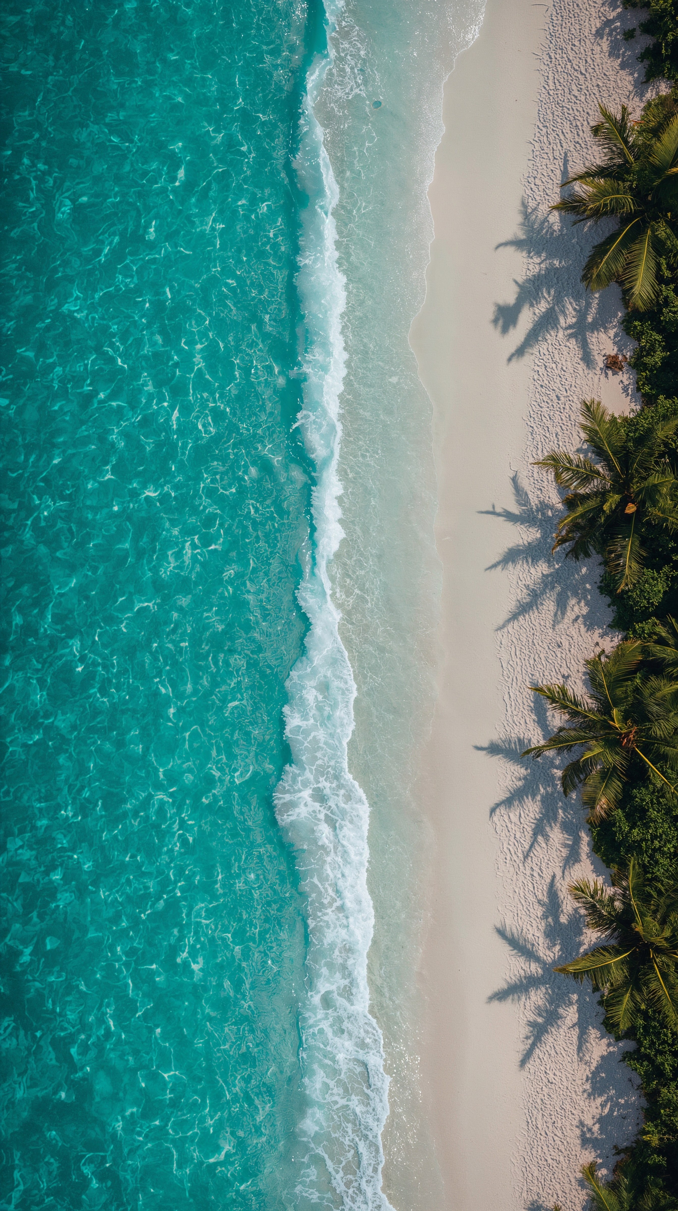 Aerial Beach Bliss: Turquoise Ocean 4K iPhone Wallpaper