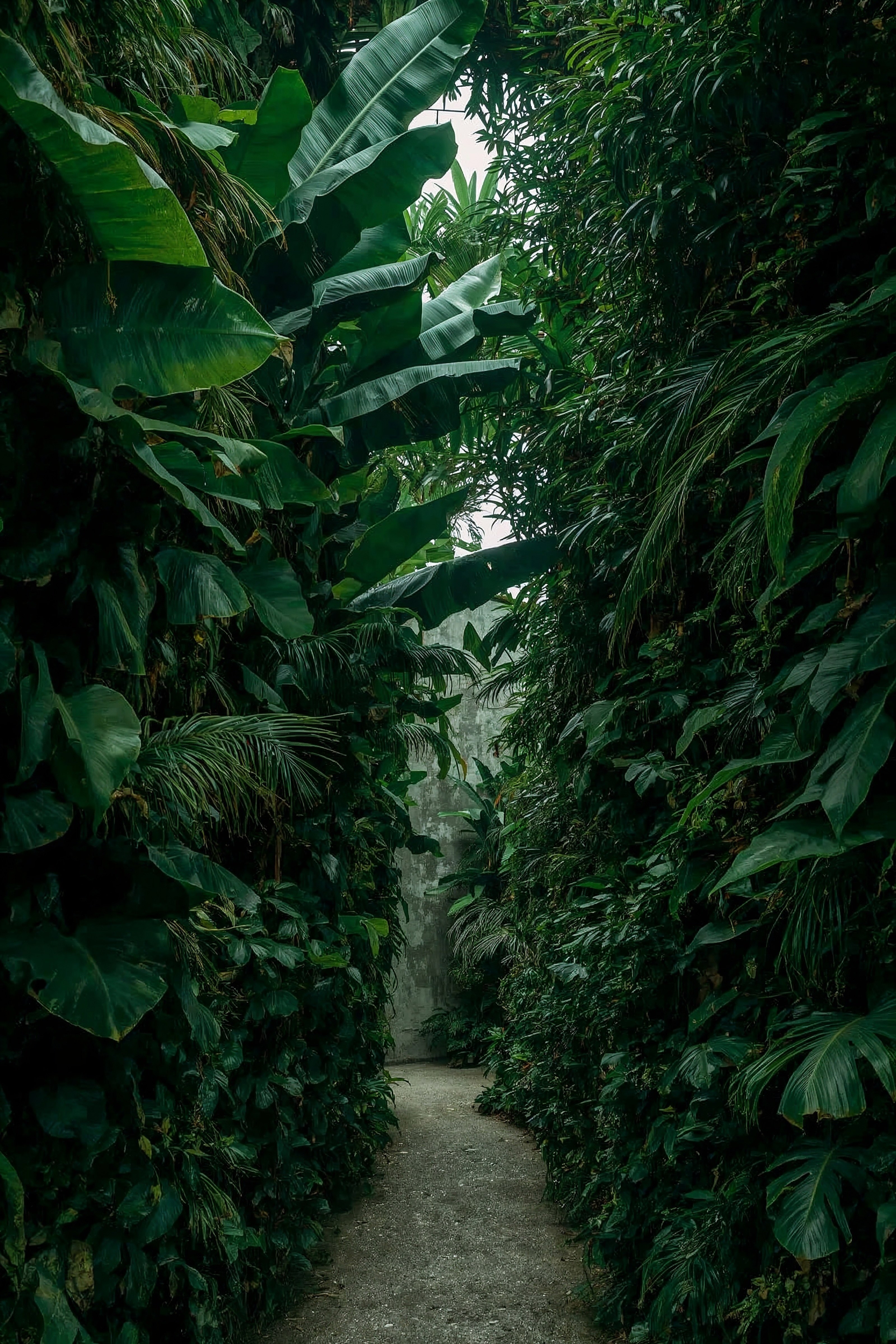 Tropical Plant Oasis: Patio Greenery & Pond Garden Ideas