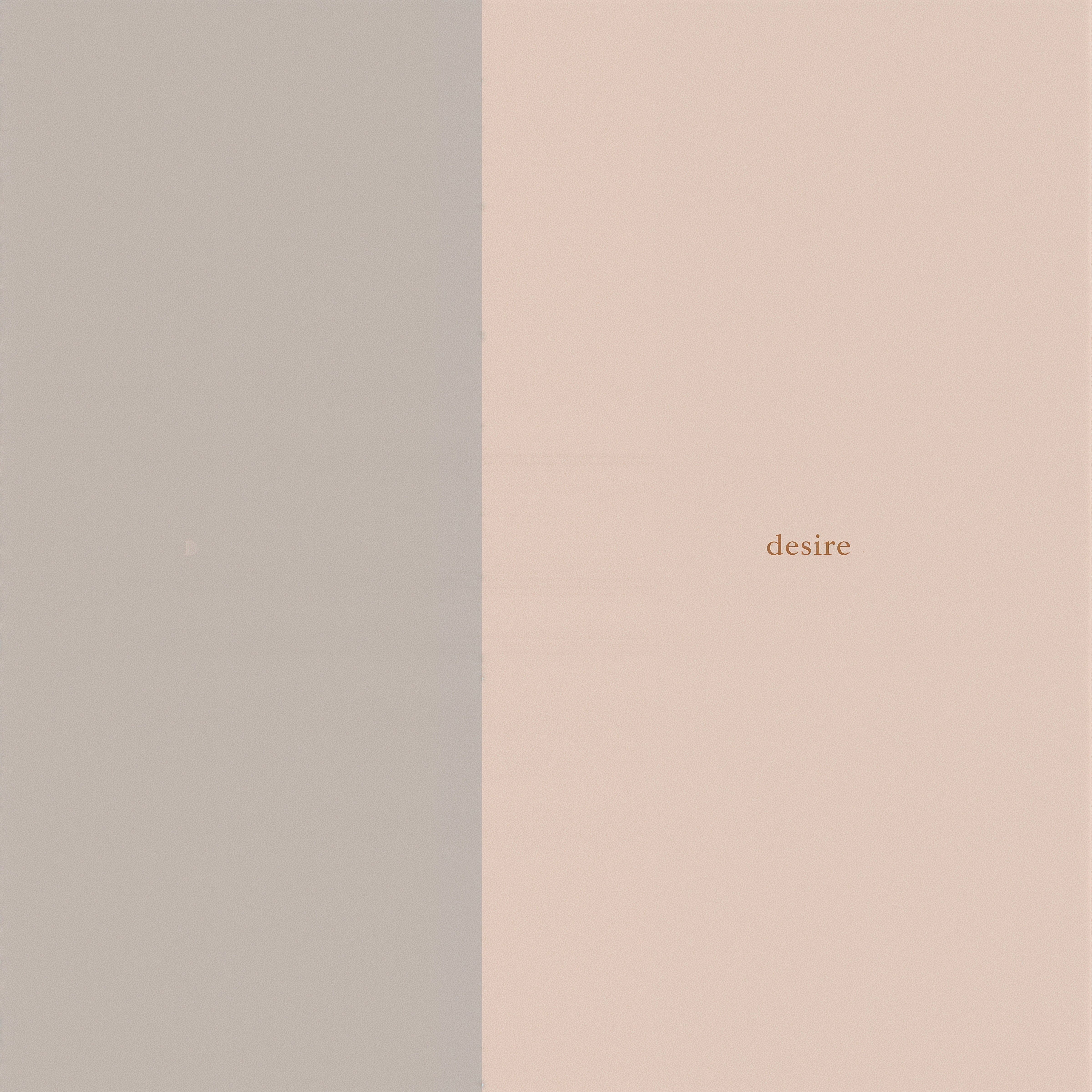 Stylish Minimalist iPhone Wallpaper Design for Couples