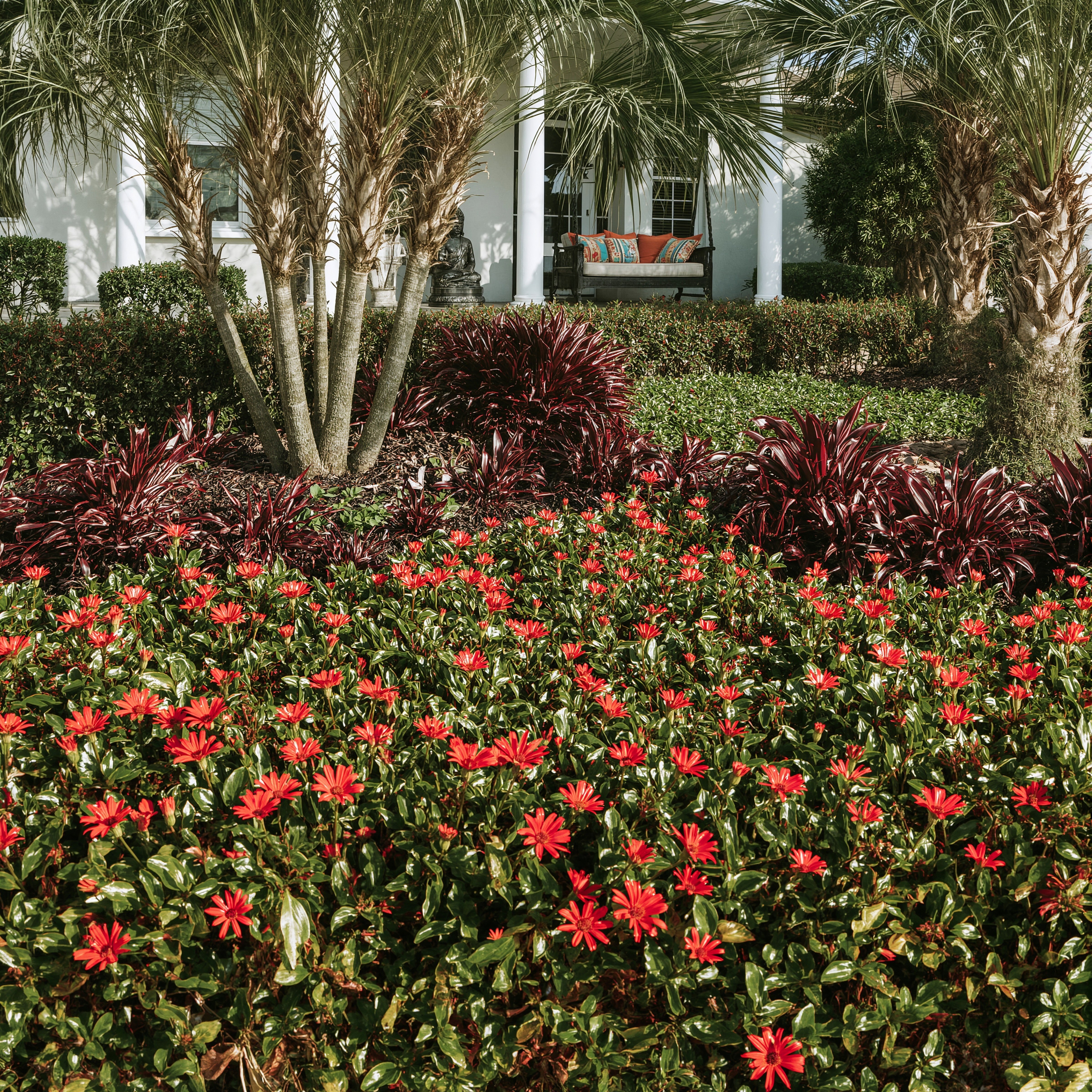 Stunning Florida Front Yard Landscaping: Tropical Oasis Ideas