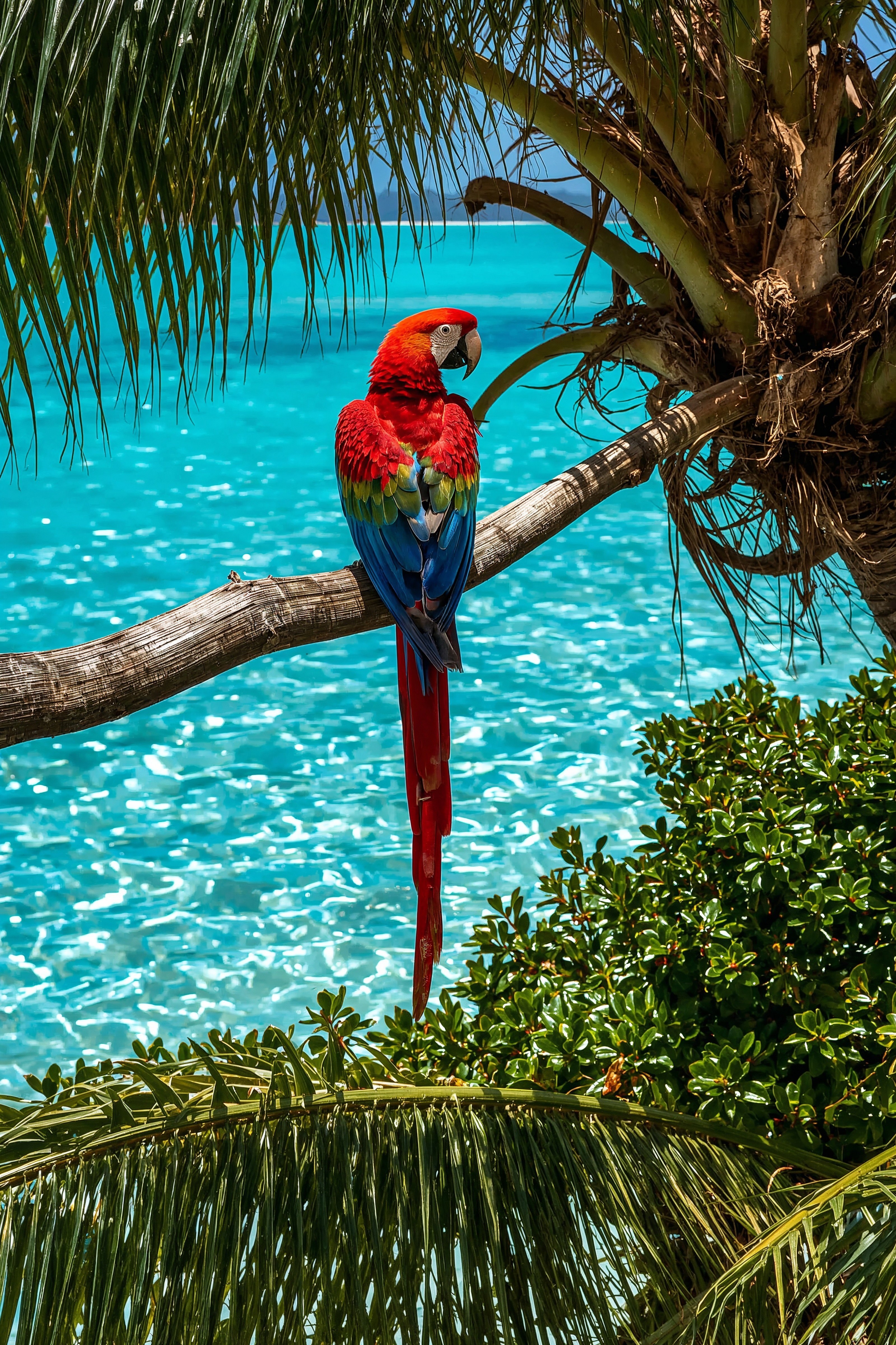 Tropical Macaw Wallpaper: Exotic Birds & Turquoise Waters 4K