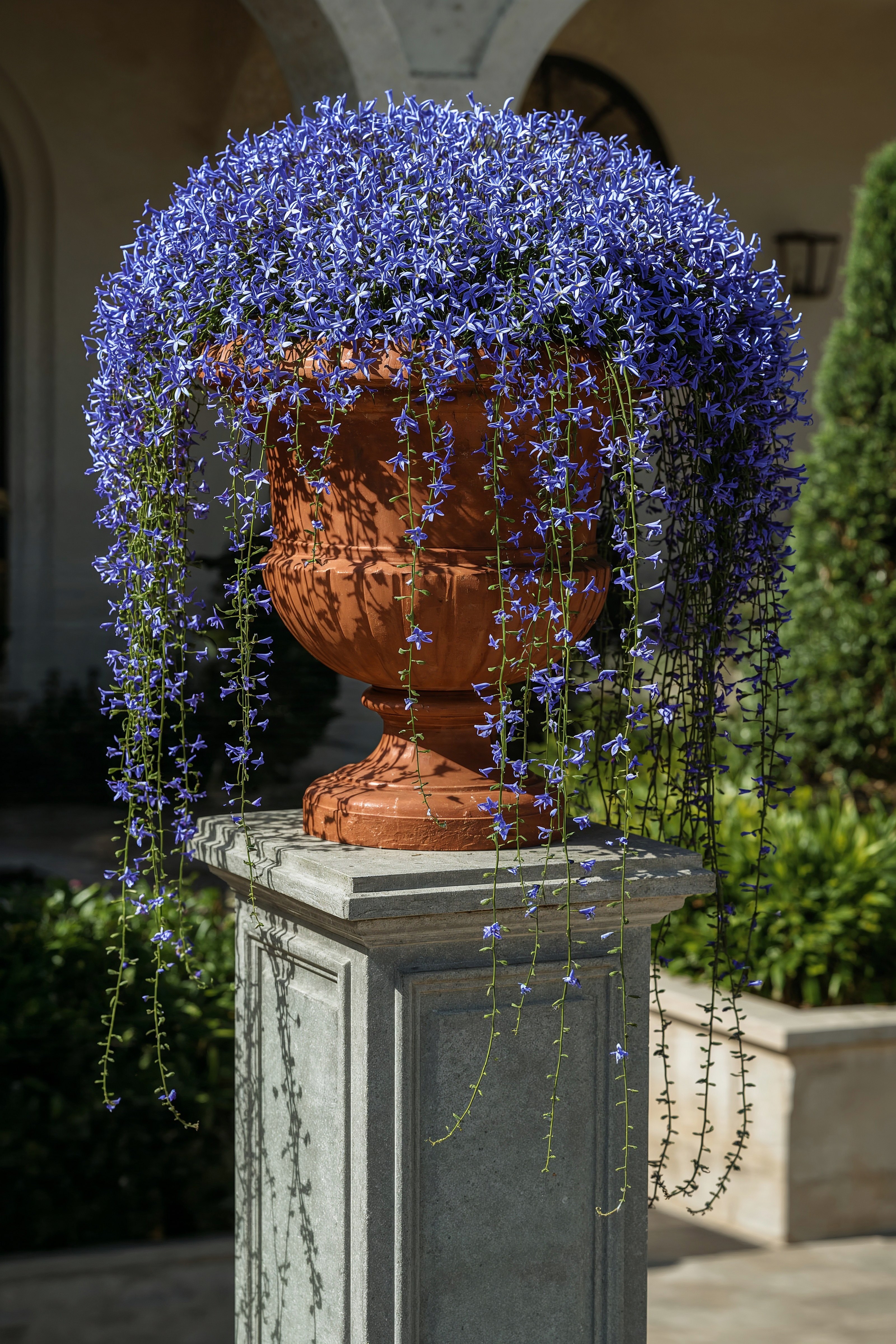 Stunning Cascading Flower Pot Ideas for Outdoor Spaces