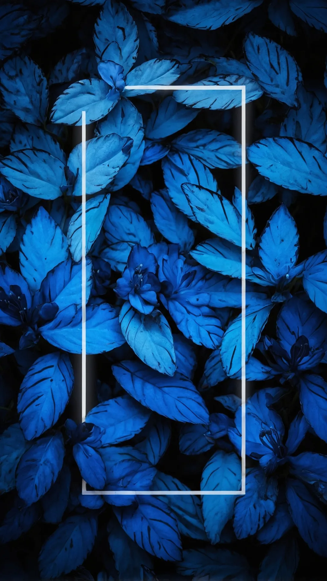 Petal Perfect Blue