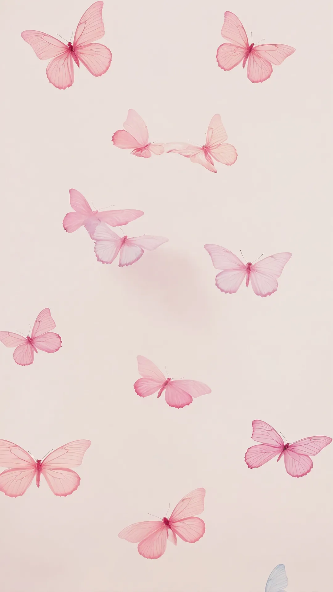 Aesthetic Blush View